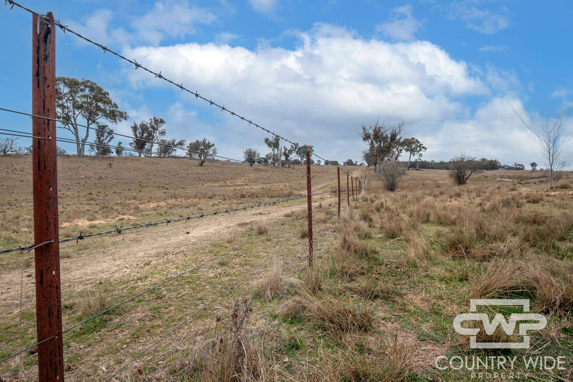 Lot Plain View South, 916 Emmaville Road, Glen Innes For Sale by Farmbuy.com - image 22