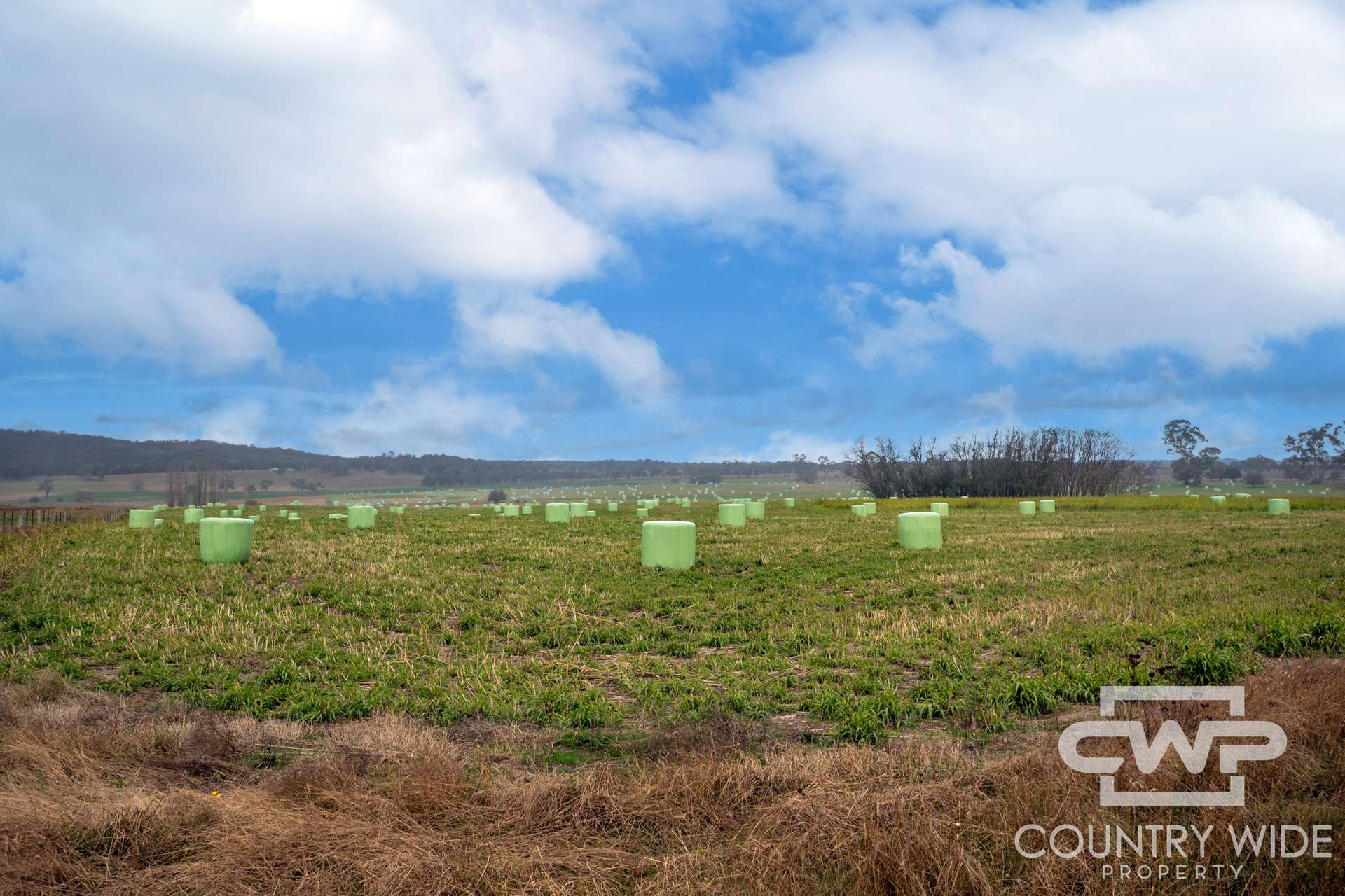 Lot Plain View South, 916 Emmaville Road, Glen Innes For Sale by Farmbuy.com - image 28