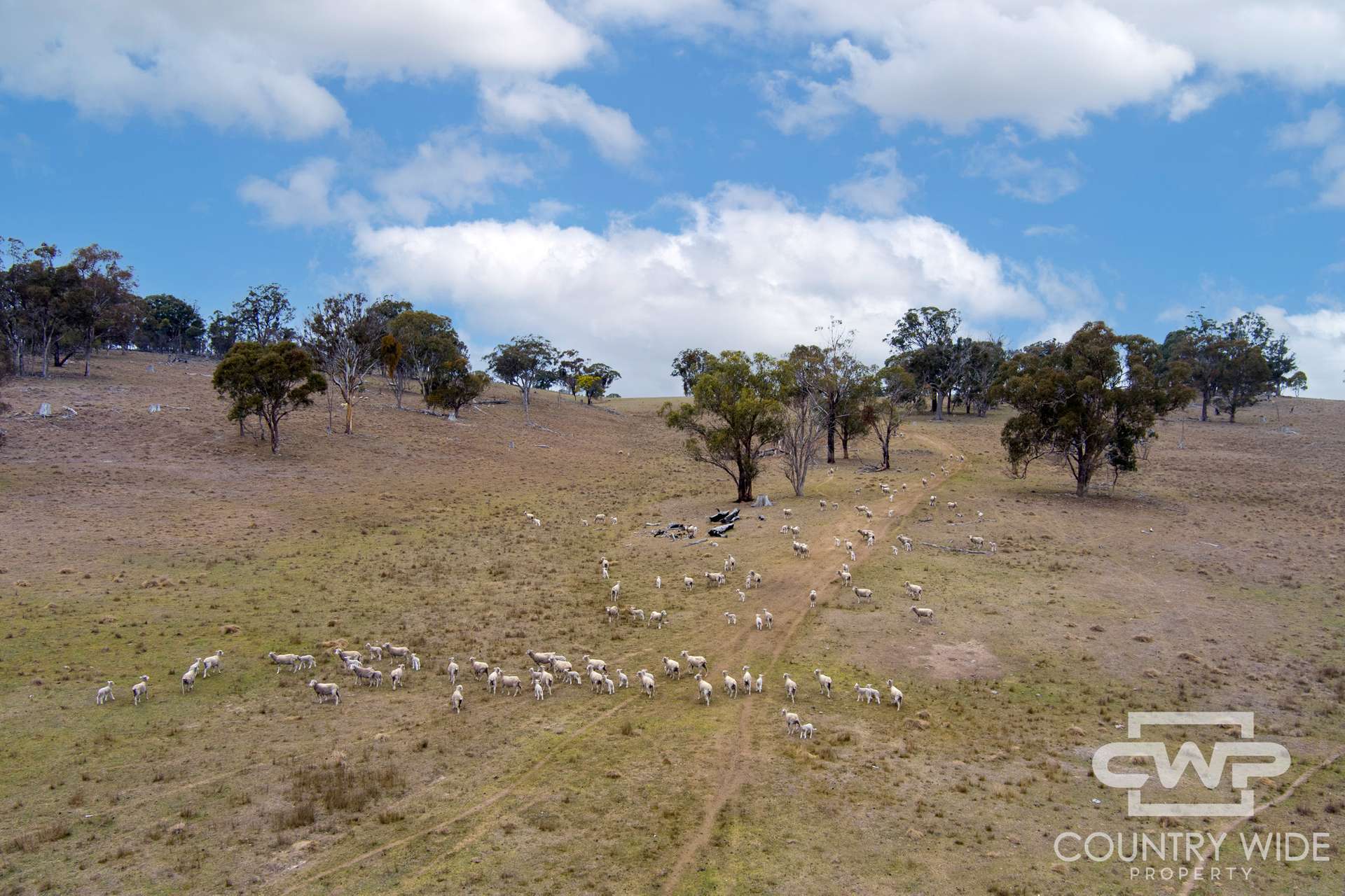 916 Emmaville Road, Glen Innes For Sale by Farmbuy.com - image 24