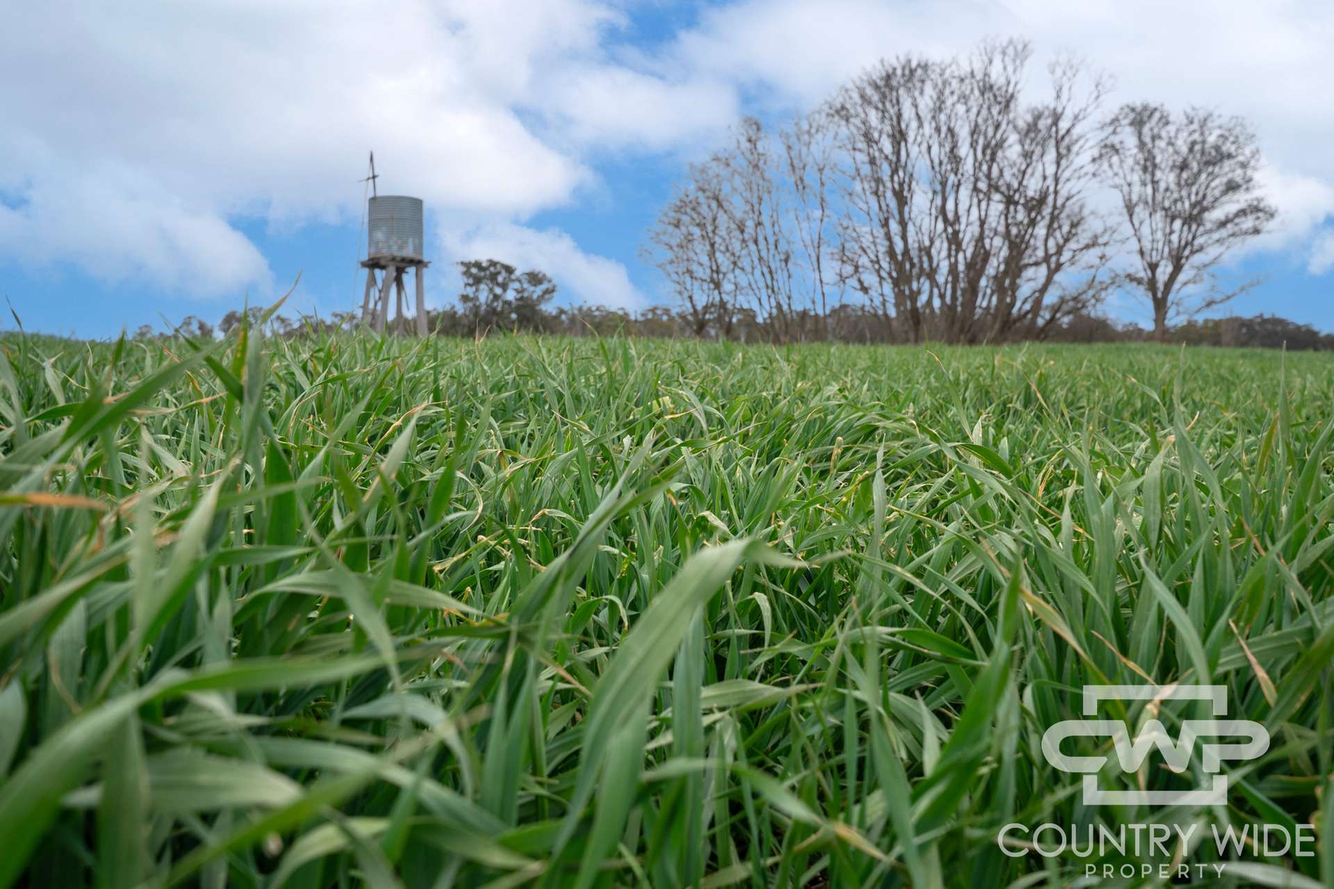 916 Emmaville Road, Glen Innes For Sale by Farmbuy.com - image 7