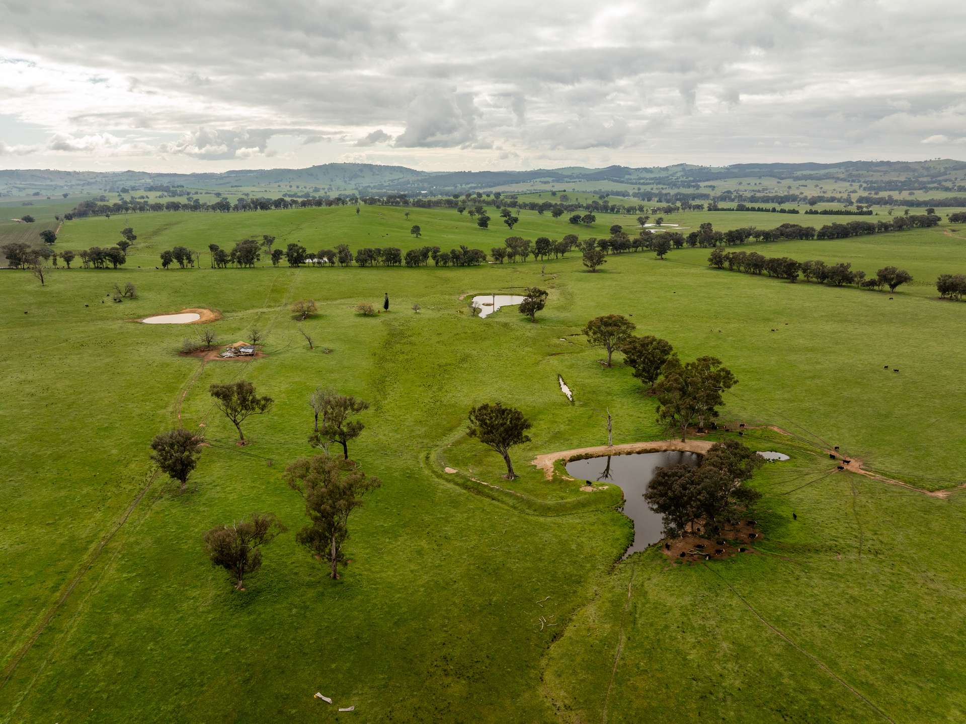 656 Westby Road, Pulletop For Sale by Farmbuy.com - image 23