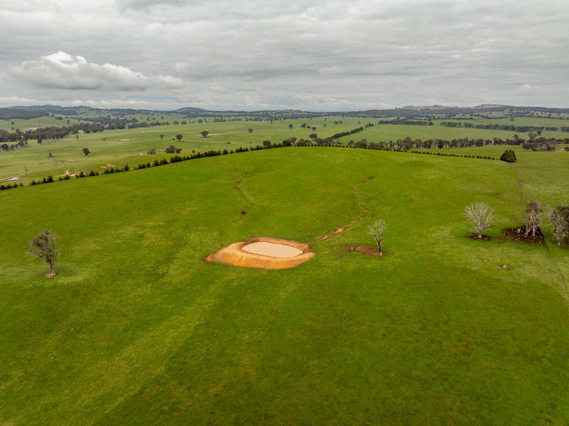 656 Westby Road, Pulletop For Sale by Farmbuy.com - image 26