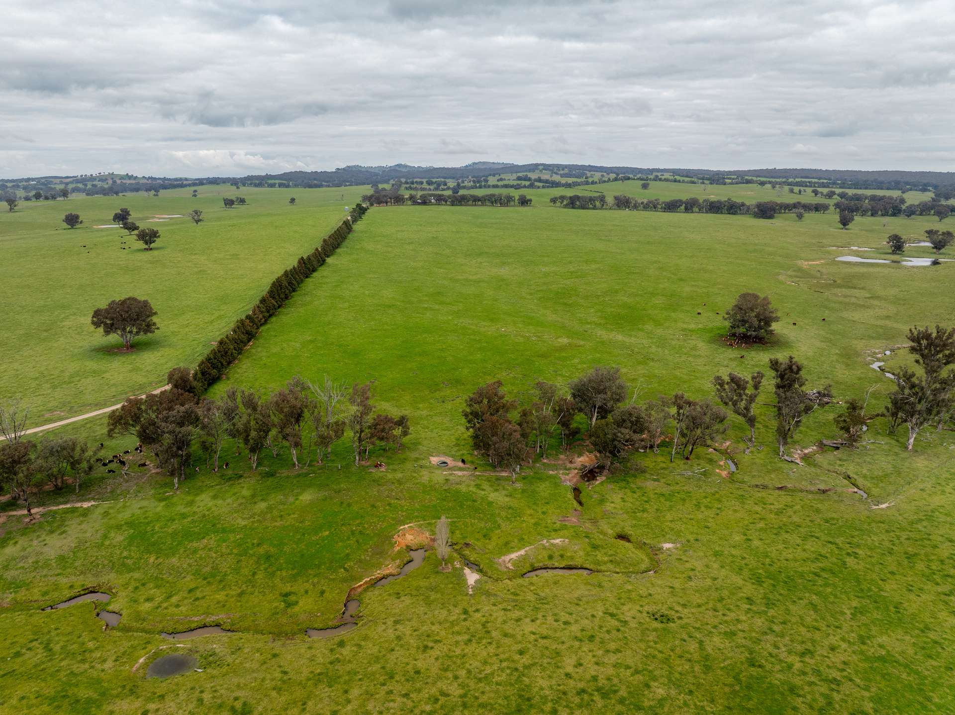 656 Westby Road, Pulletop For Sale by Farmbuy.com - image 13