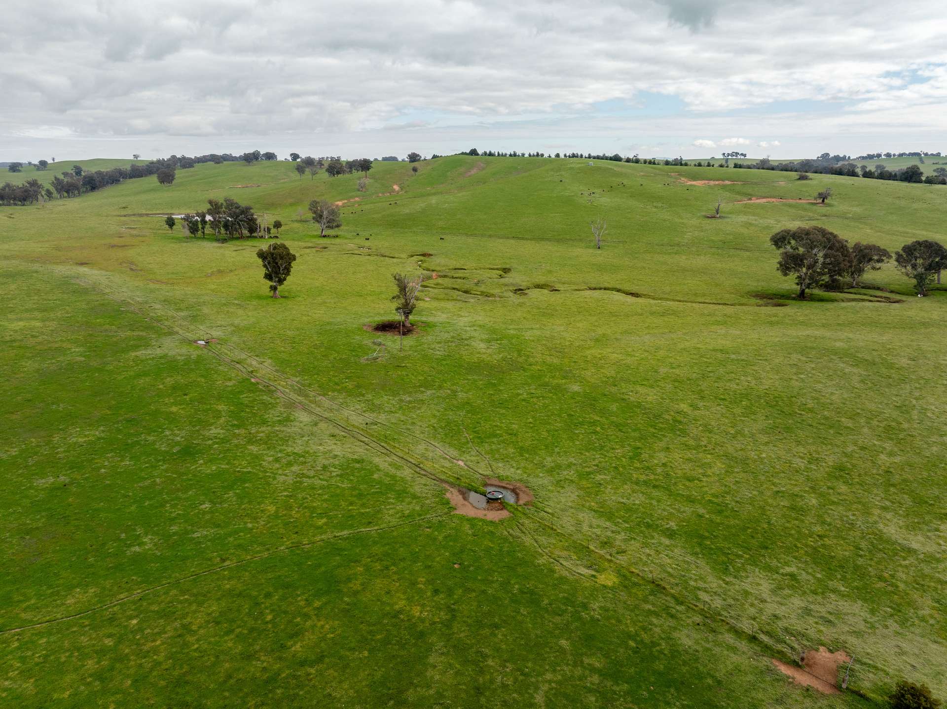656 Westby Road, Pulletop For Sale by Farmbuy.com - image 13