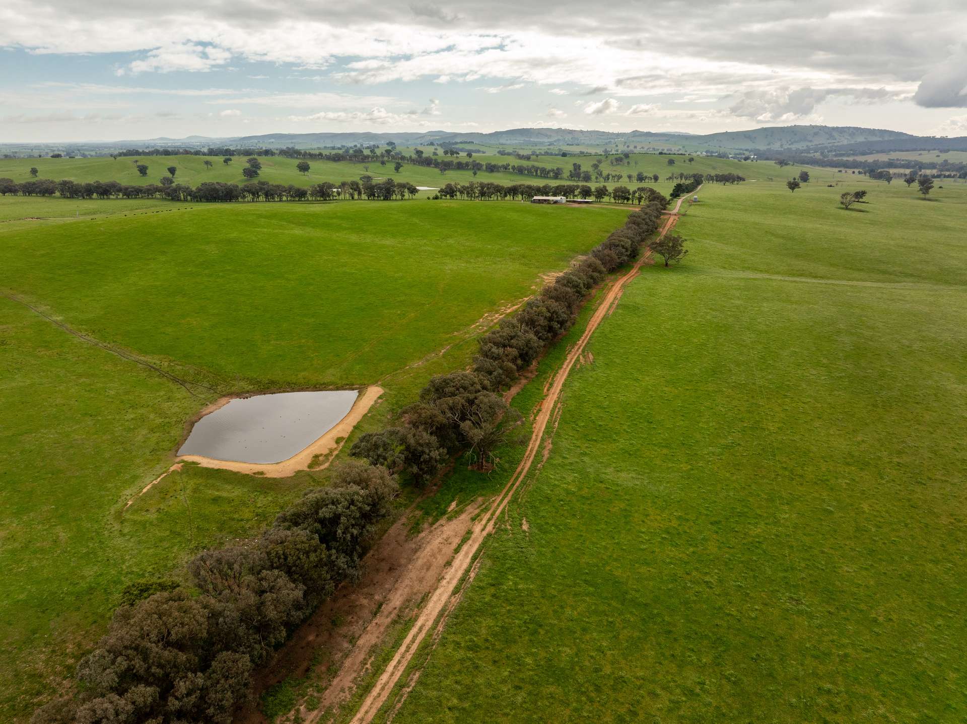 656 Westby Road, Pulletop For Sale by Farmbuy.com - image 20