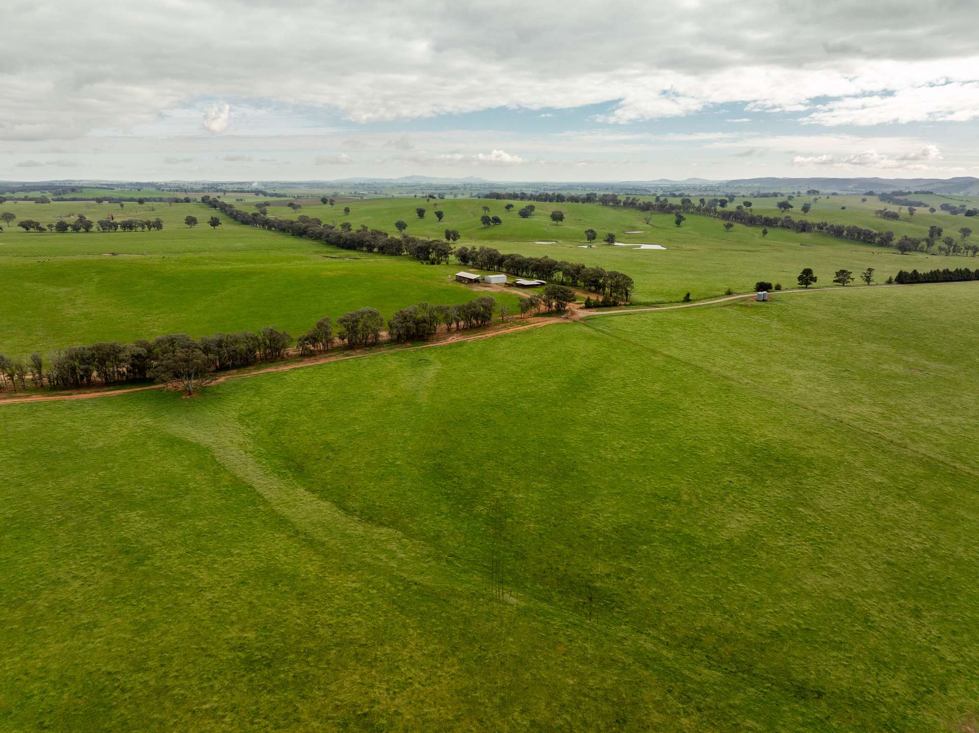 656 Westby Road, Pulletop For Sale by Farmbuy.com - image 18