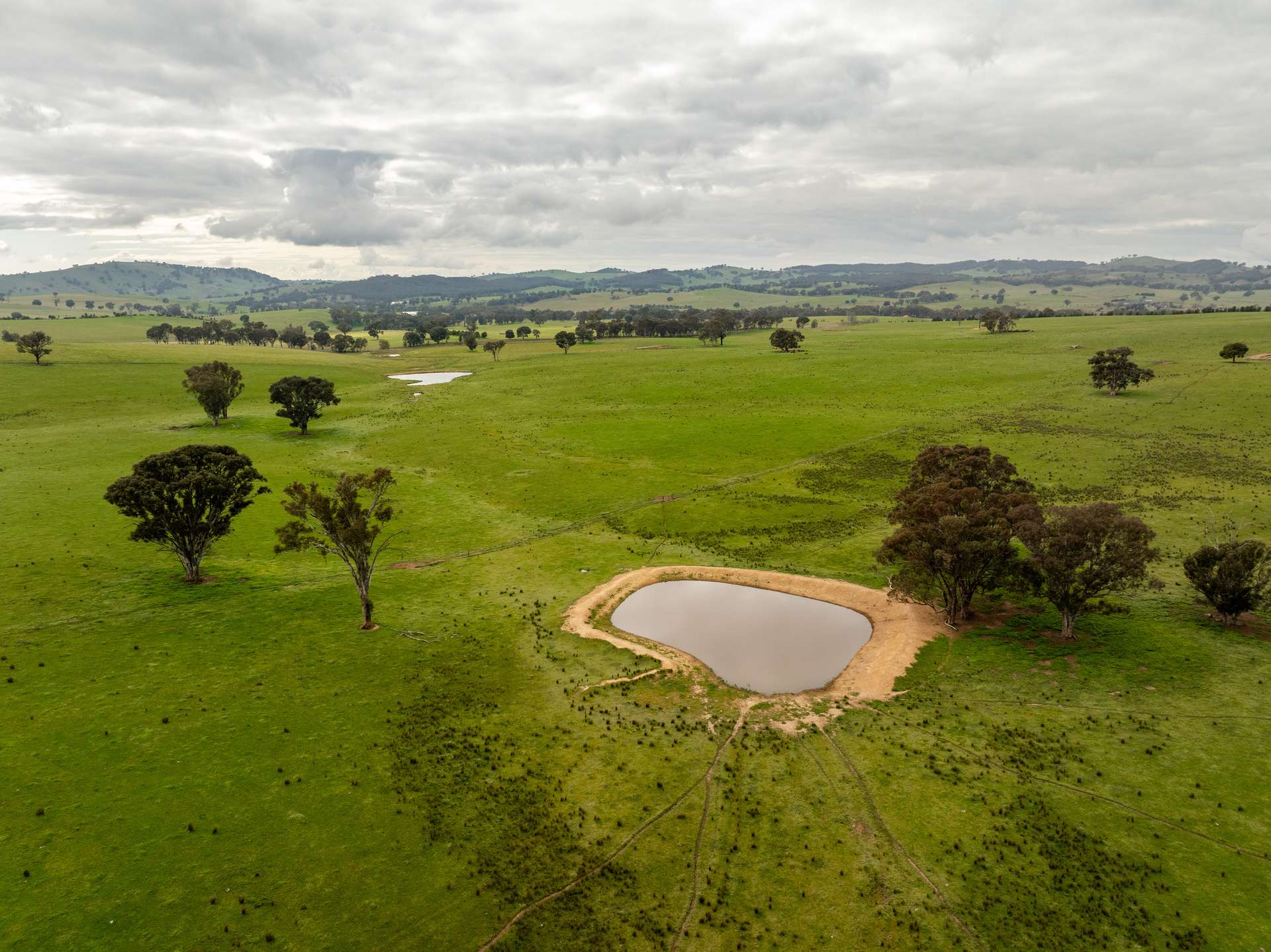 656 Westby Road, Pulletop For Sale by Farmbuy.com - image 25
