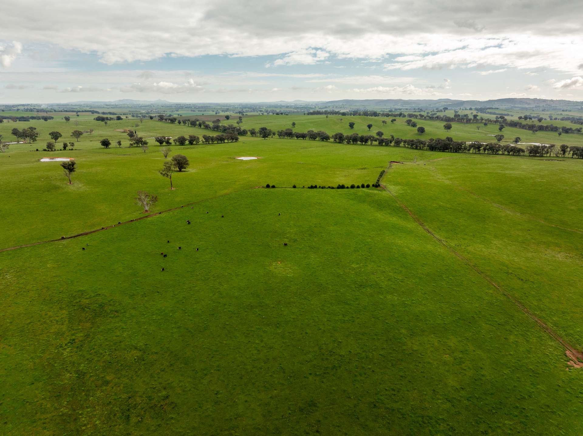 656 Westby Road, Pulletop For Sale by Farmbuy.com - image 22