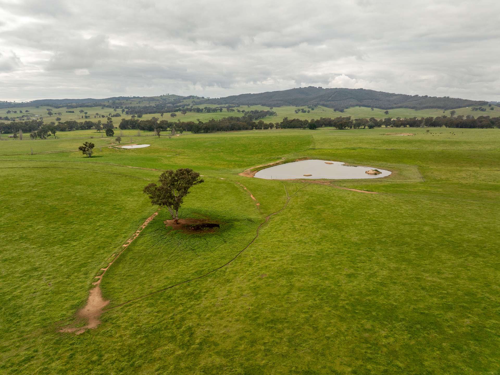 656 Westby Road, Pulletop For Sale by Farmbuy.com - image 16