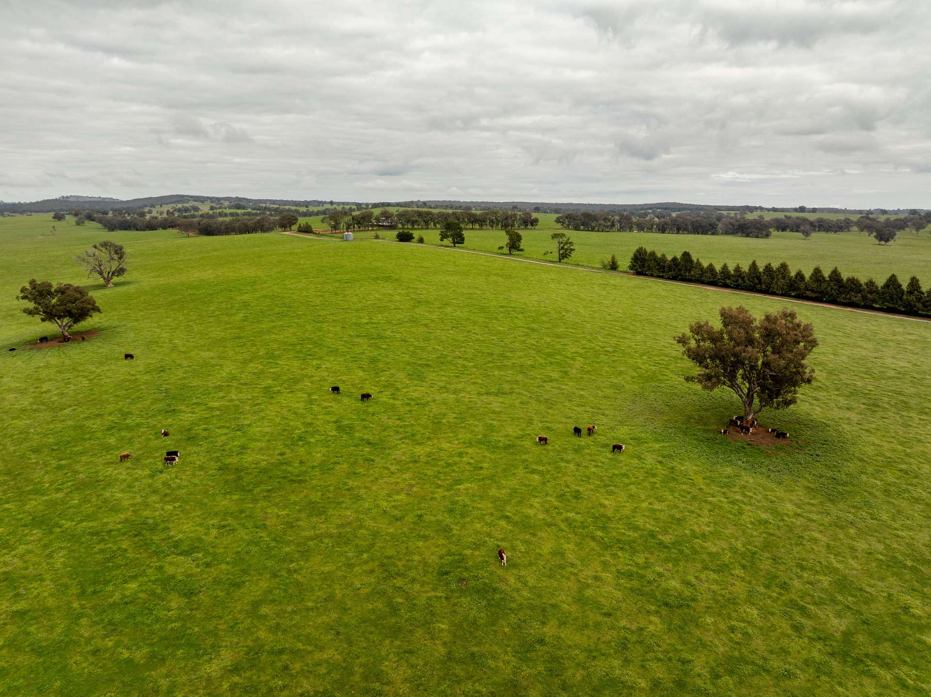 656 Westby Road, Pulletop For Sale by Farmbuy.com - image 16