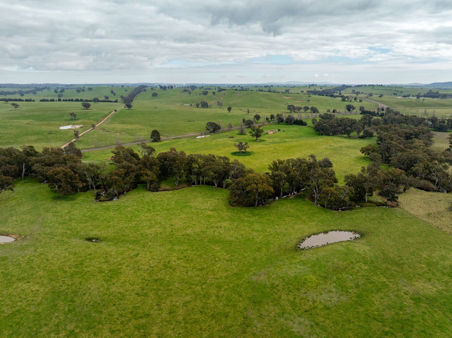656 Westby Road, Pulletop For Sale by Farmbuy.com - image 11