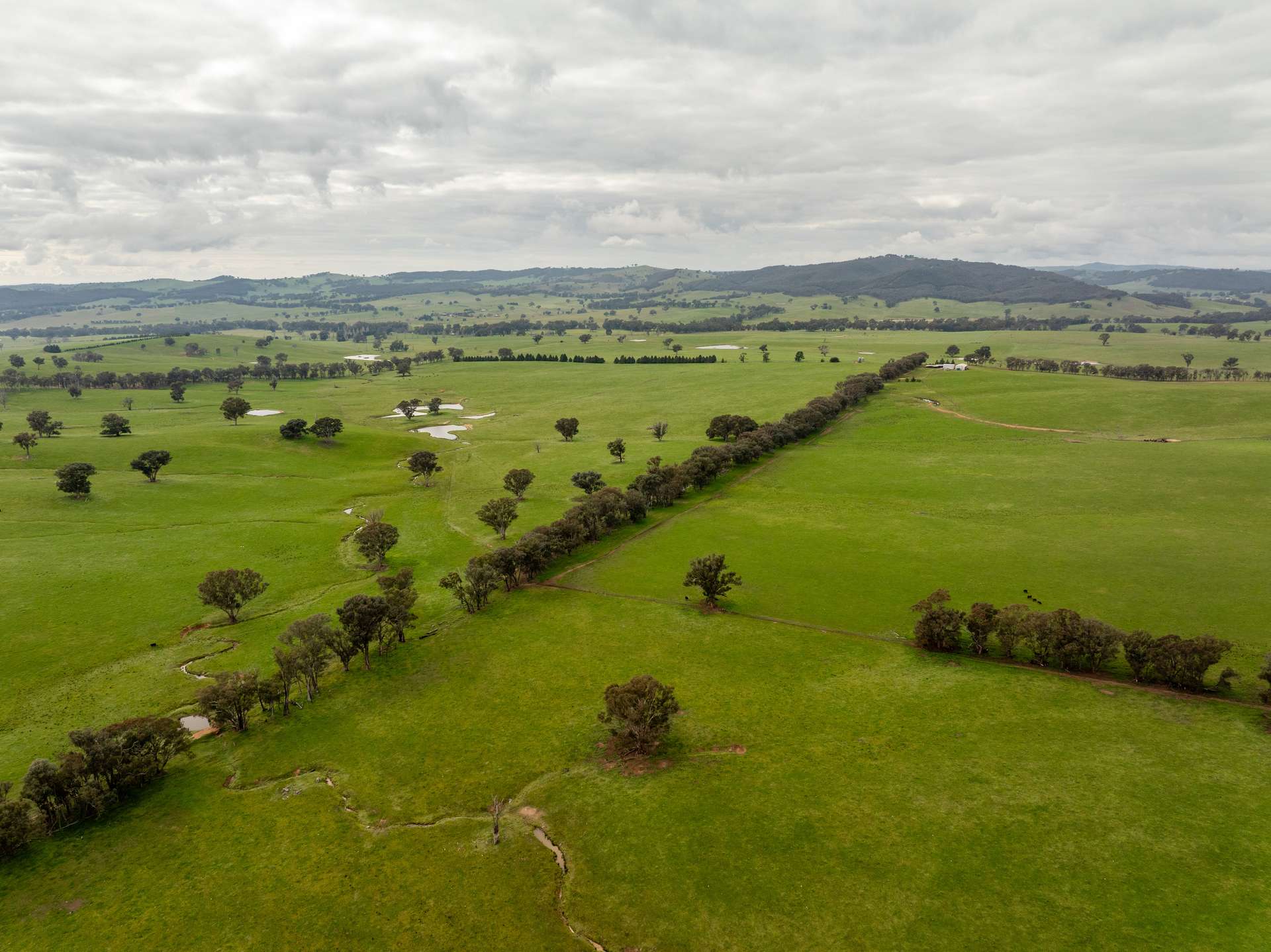 656 Westby Road, Pulletop For Sale by Farmbuy.com - image 23