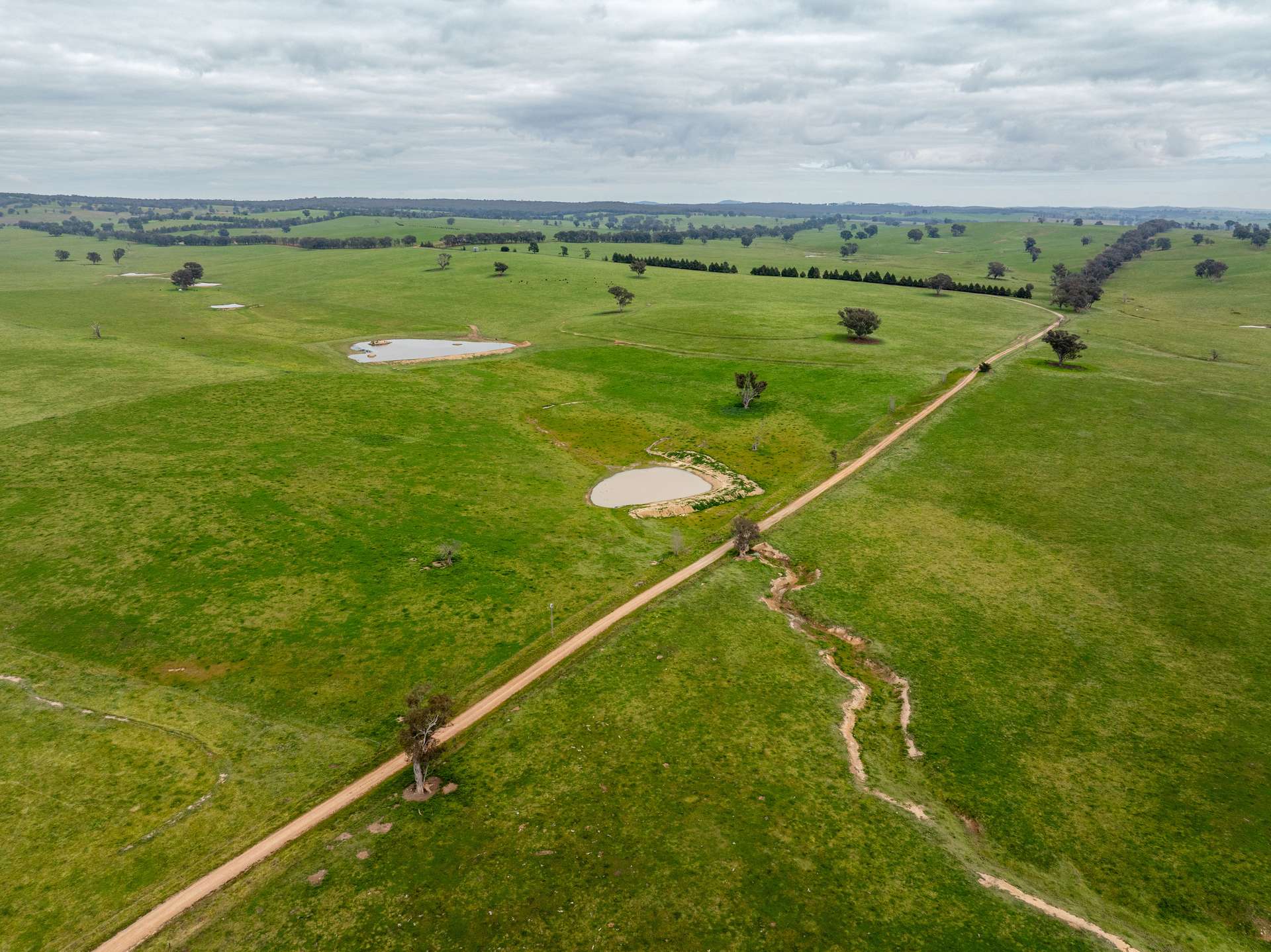 656 Westby Road, Pulletop For Sale by Farmbuy.com - image 8