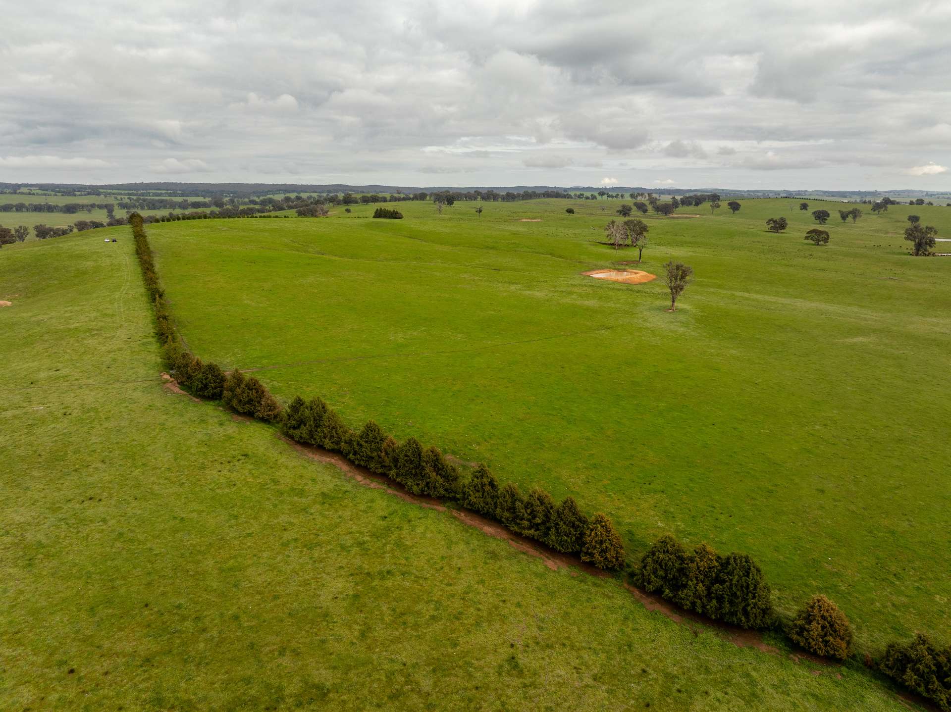656 Westby Road, Pulletop For Sale by Farmbuy.com - image 27