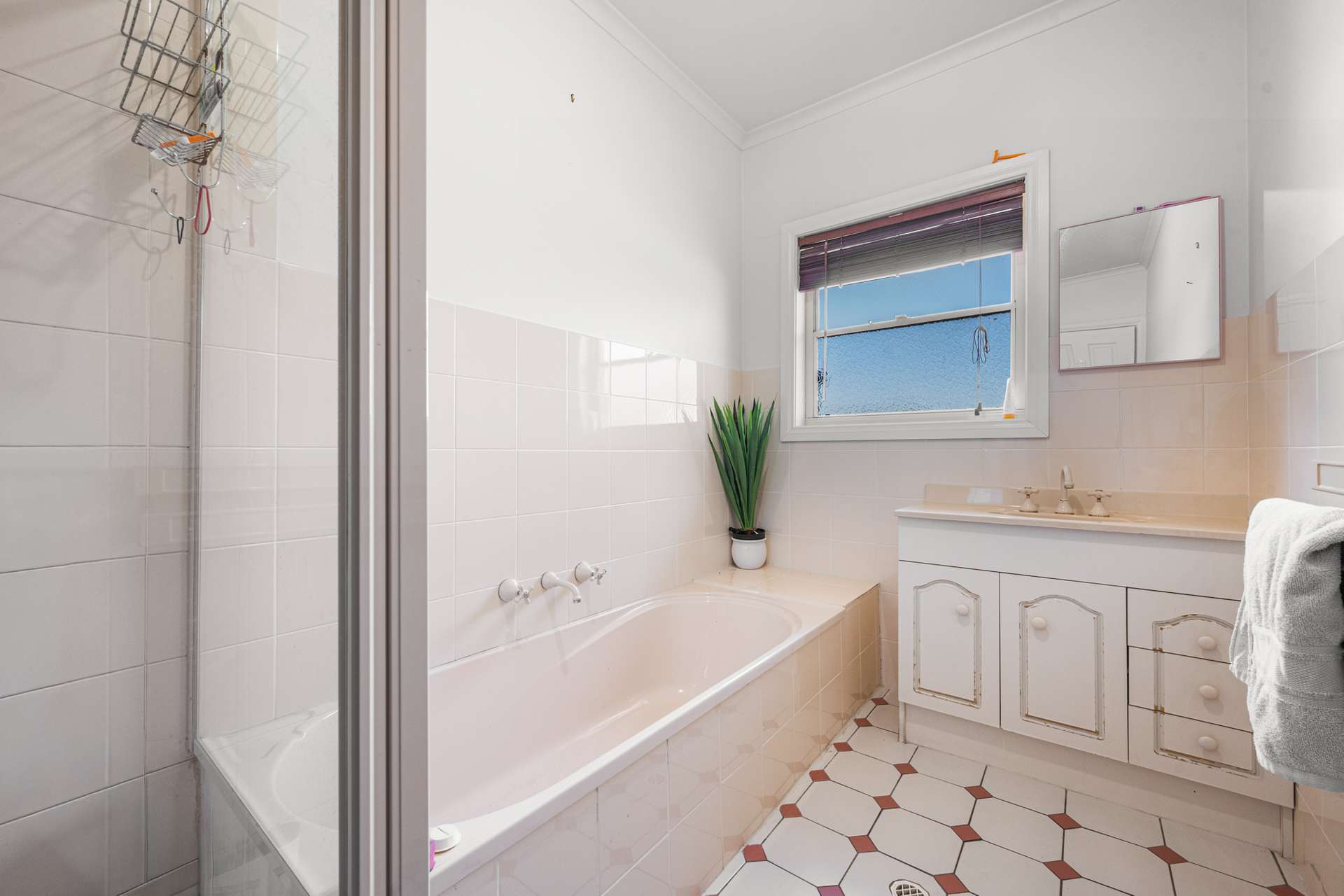 154 Gordon Street, Naracoorte For Sale by Farmbuy.com - image 14