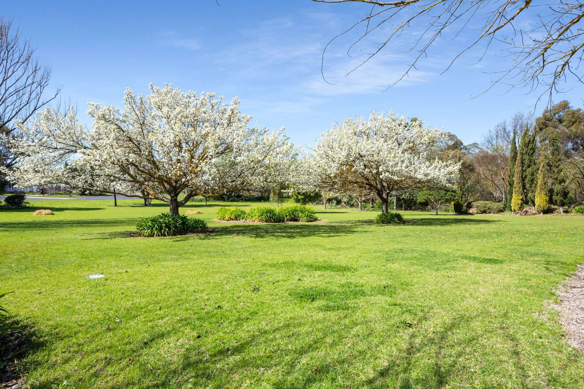 154 Gordon Street, Naracoorte Auction by Farmbuy.com - image 18