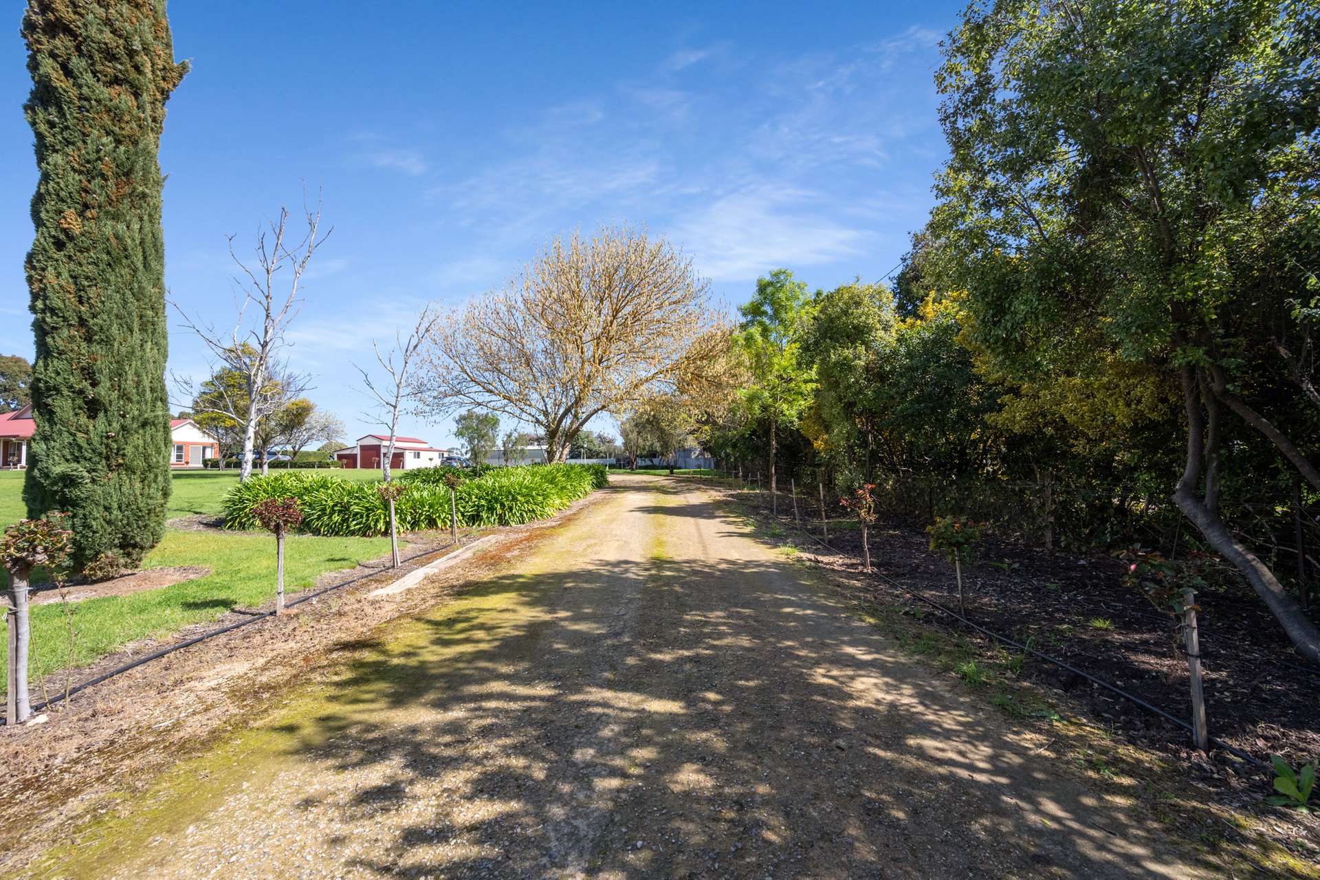 154 Gordon Street, Naracoorte For Sale by Farmbuy.com - image 17
