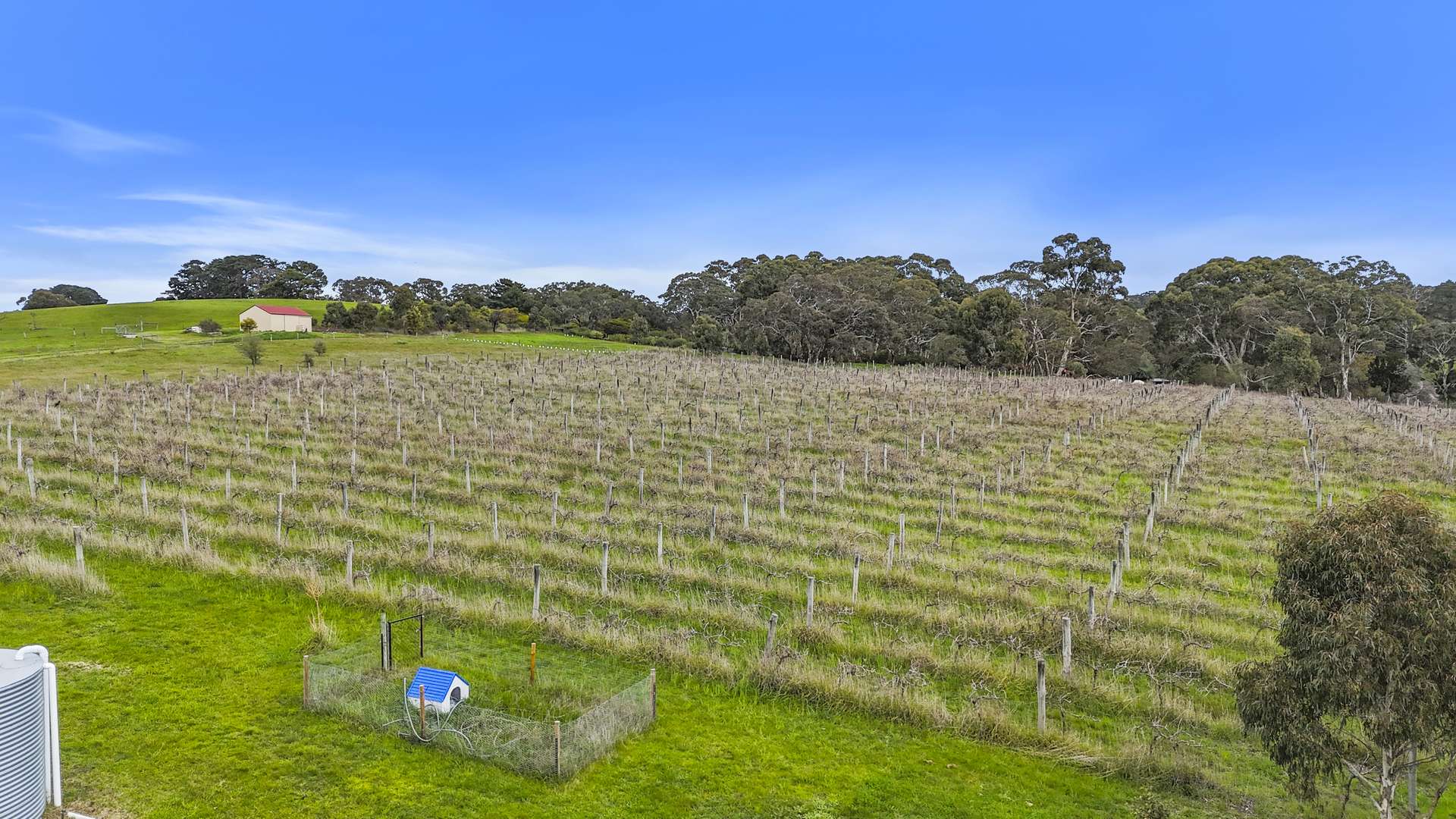 146D Ancell Road, Mount Jagged For Sale by Farmbuy.com - image 20