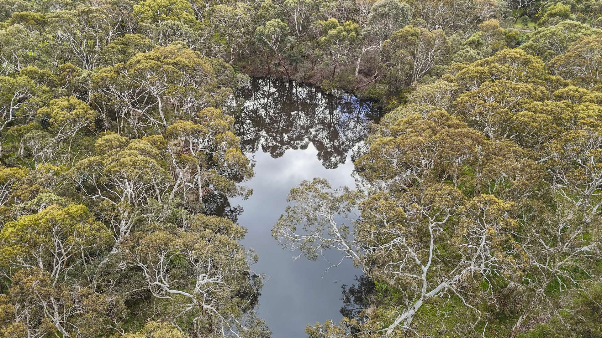 146D Ancell Road, Mount Jagged For Sale by Farmbuy.com - image 21