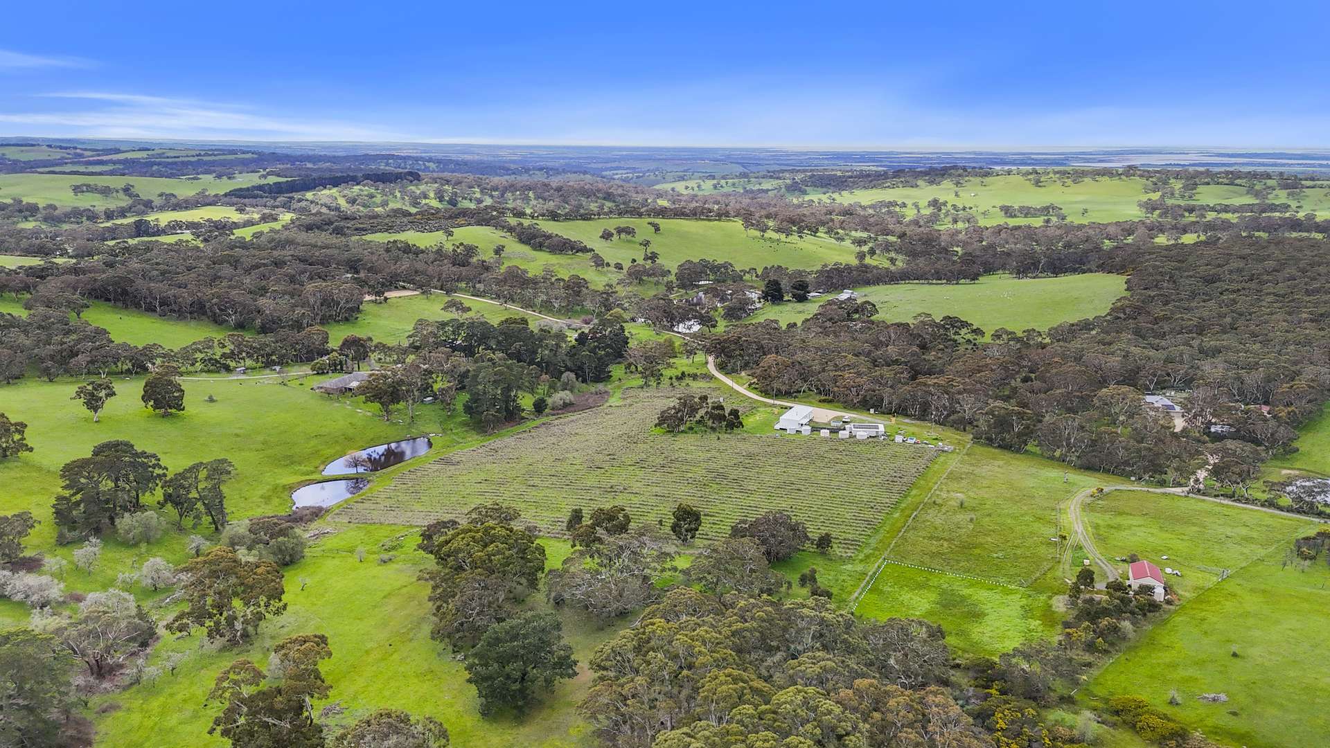 146D Ancell Road, Mount Jagged For Sale by Farmbuy.com - image 29