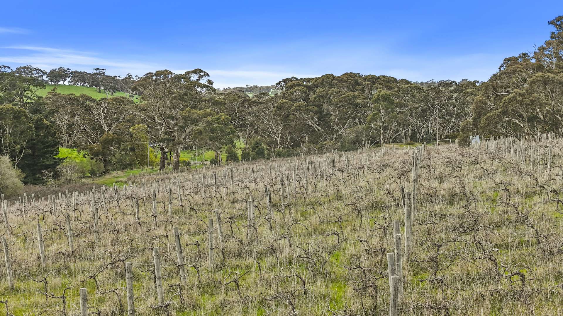 146D Ancell Road, Mount Jagged For Sale by Farmbuy.com - image 28