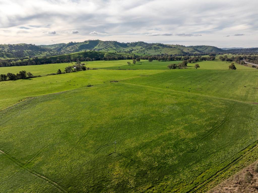 11 Edwardstown Road, South Gundagai NSW 2722