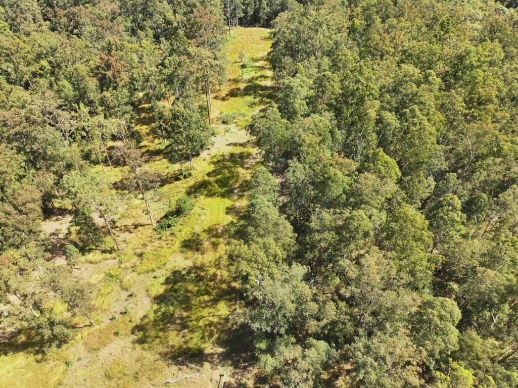 225 Murray Scrub Road, Kyogle For Sale by Farmbuy.com - image 24