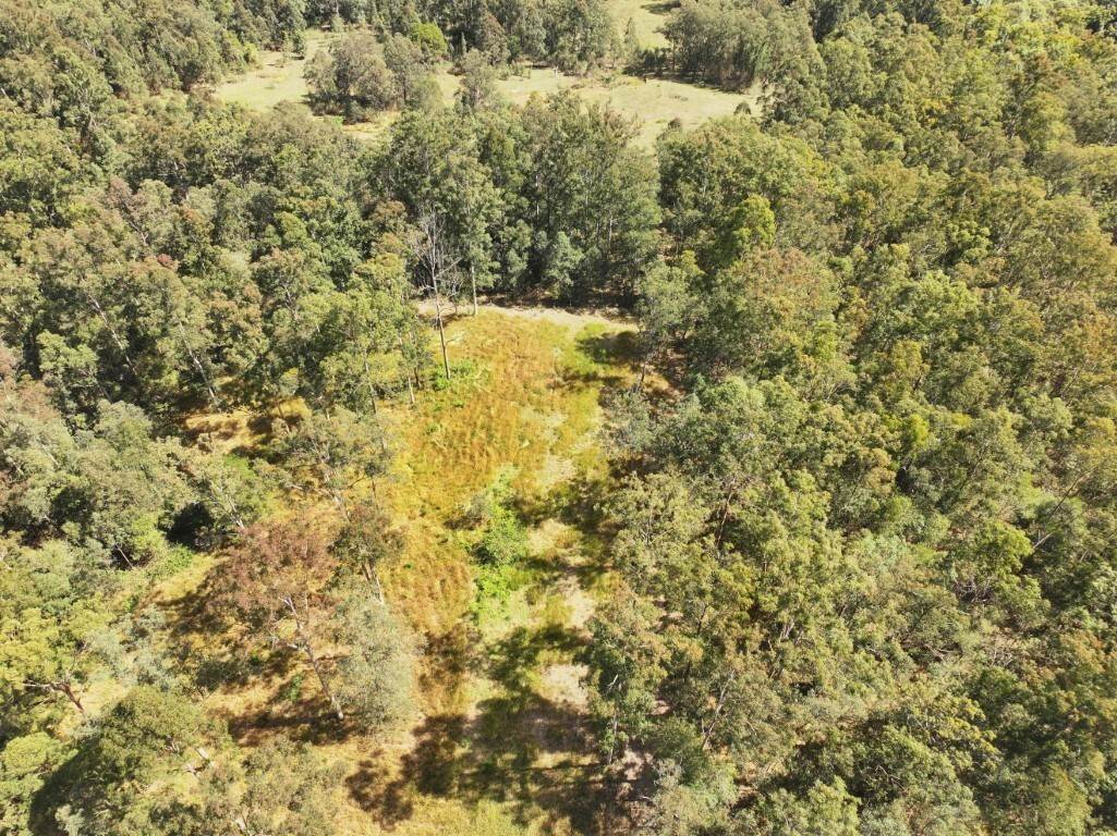 225 Murray Scrub Road, Kyogle For Sale by Farmbuy.com - image 25