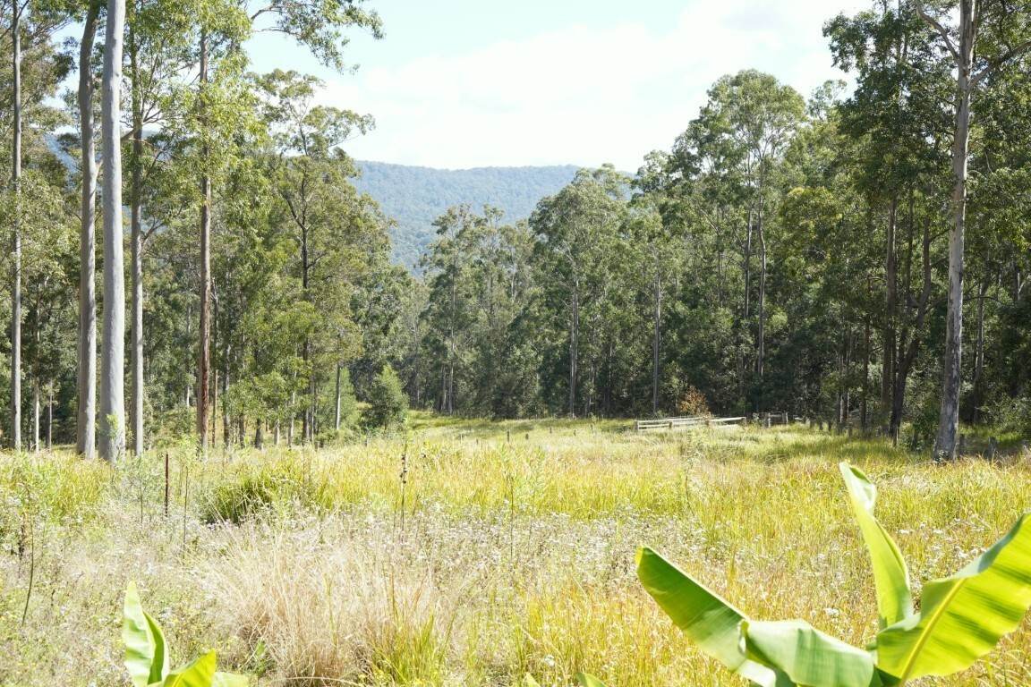 225 Murray Scrub Road, Kyogle For Sale by Farmbuy.com - image 18