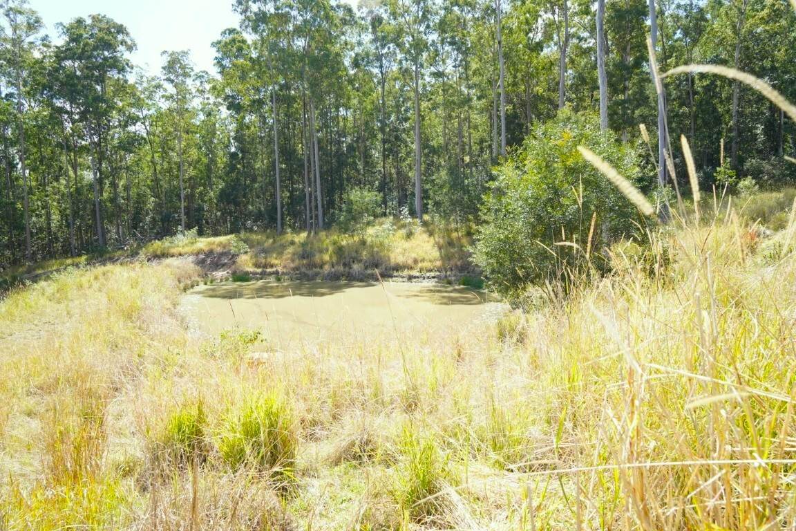 225 Murray Scrub Road, Kyogle For Sale by Farmbuy.com - image 12