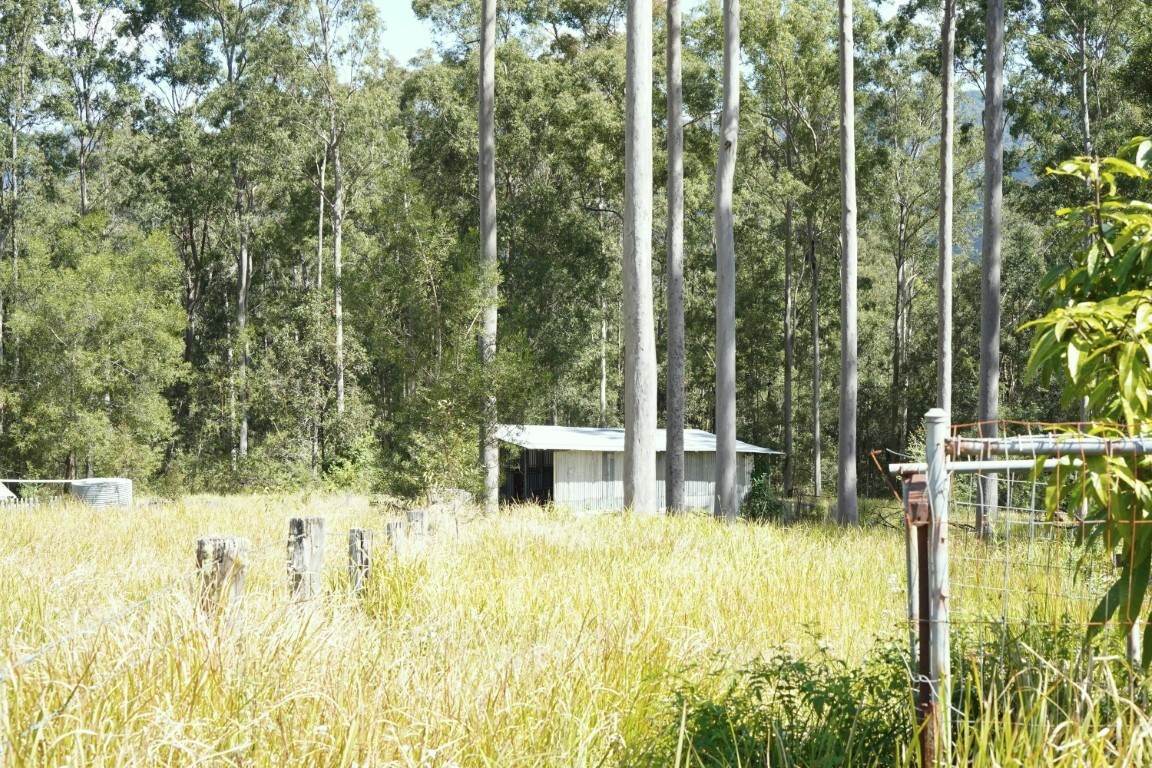 225 Murray Scrub Road, Kyogle For Sale by Farmbuy.com - image 21