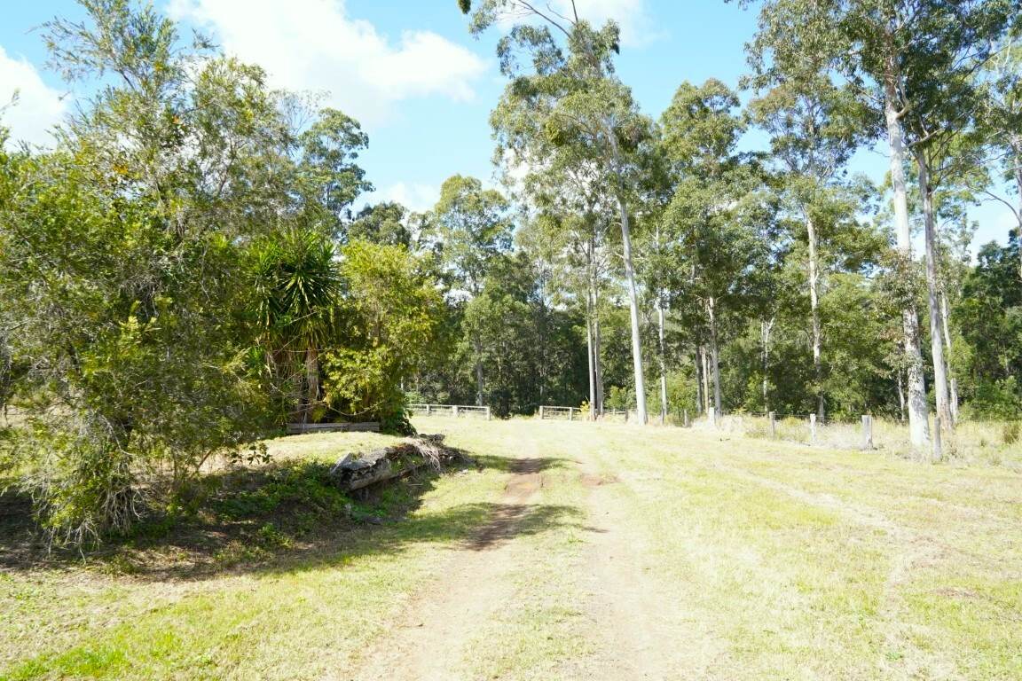 225 Murray Scrub Road, Kyogle For Sale by Farmbuy.com - image 27