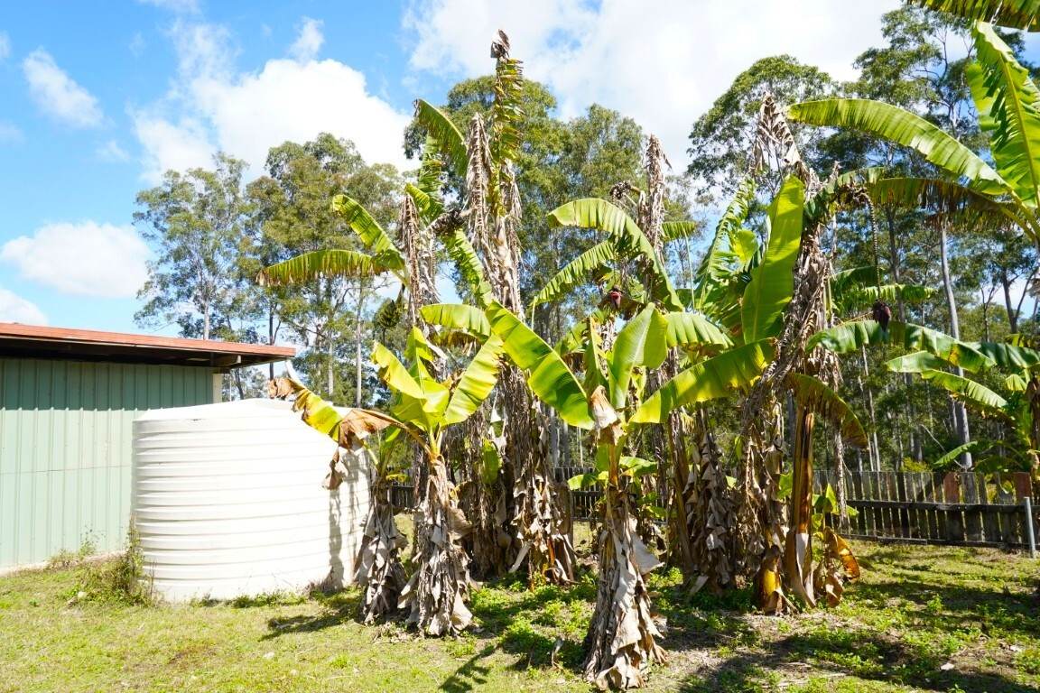 225 Murray Scrub Road, Kyogle For Sale by Farmbuy.com - image 17