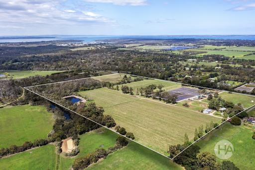 Farm For Sale - VIC - Bittern - 3918 - Bittern Estate – A Rare Mornington Peninsula Vineyard Opportunity 