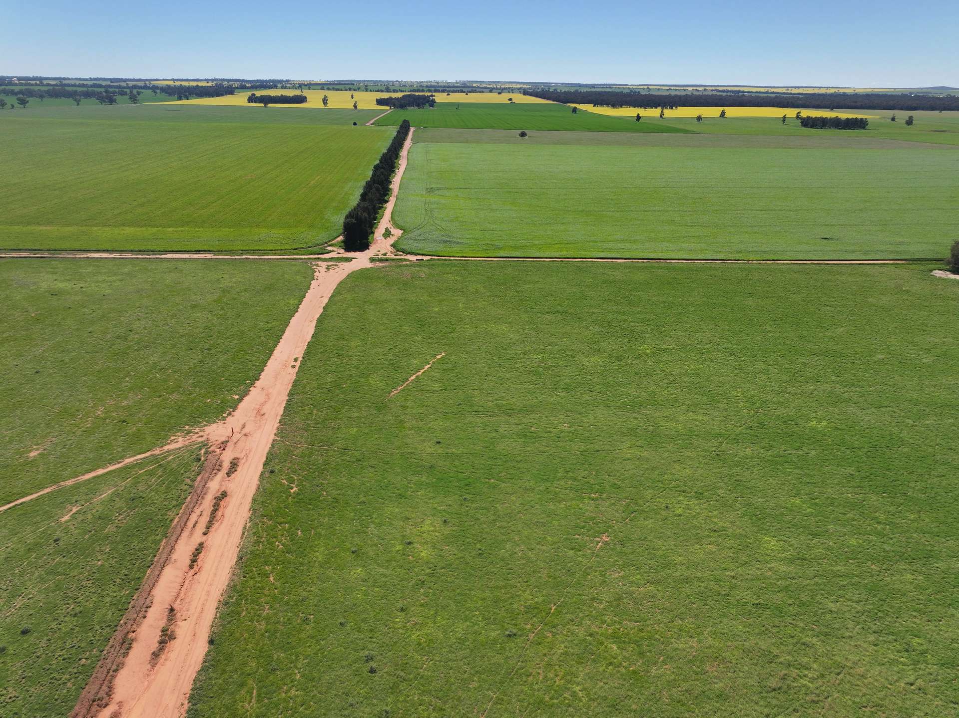 'Freidaville'' 566 East West Road, Rannock For Sale by Farmbuy.com - image 9