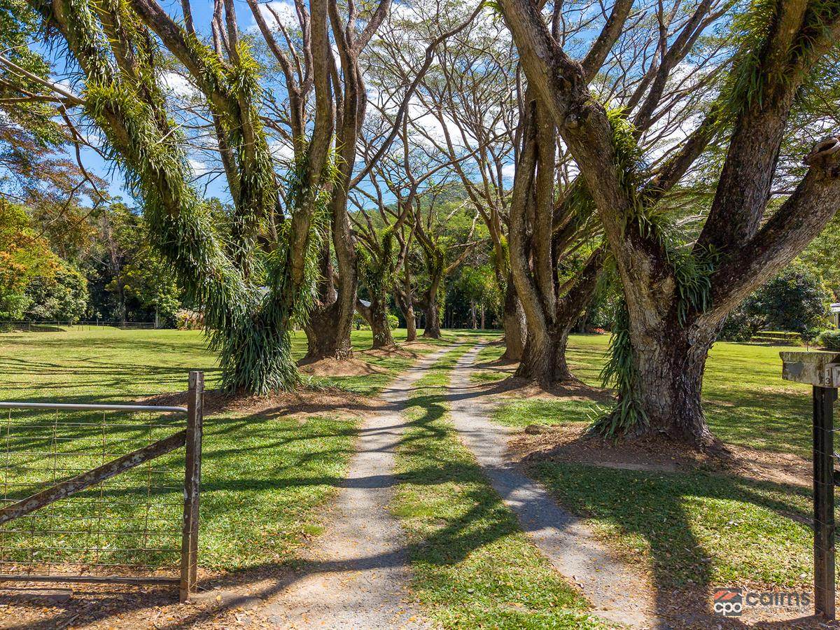 13-15 Hives Street, Gordonvale For Sale by Farmbuy.com - image 5