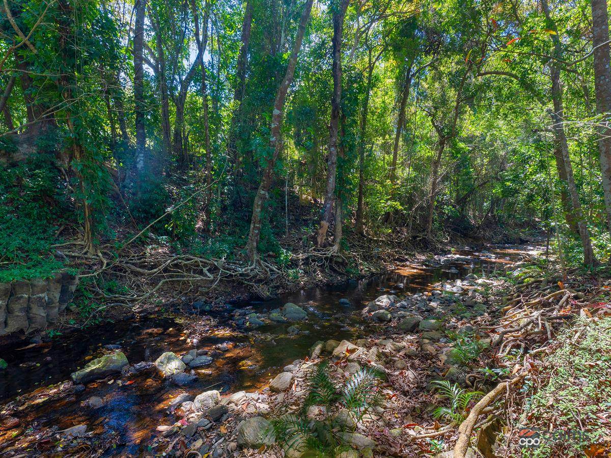 13-15 Hives Street, Gordonvale For Sale by Farmbuy.com - image 2