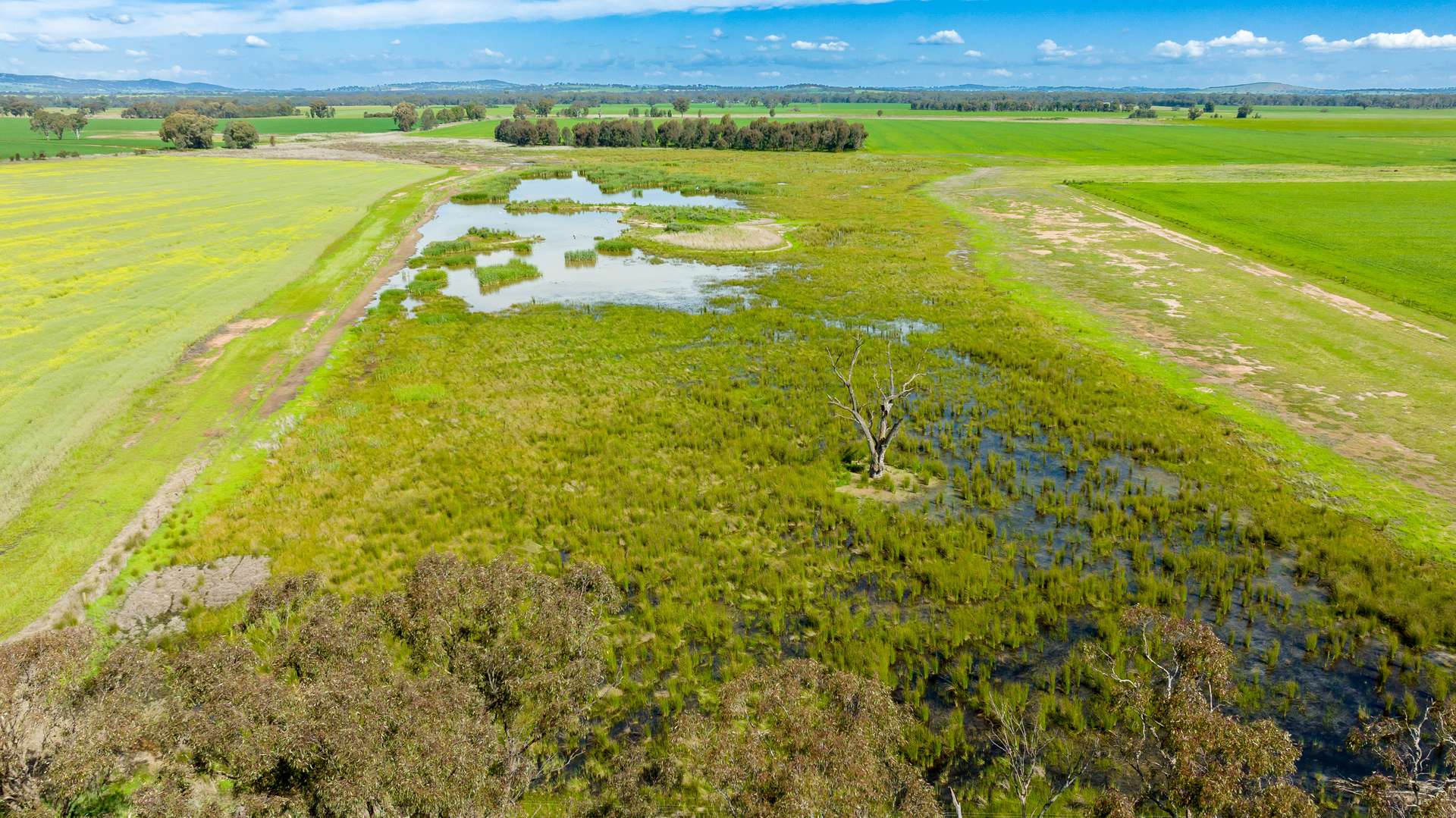 'Arden Vale' Walbundrie Road, Walla Walla For Sale by Farmbuy.com - image 6