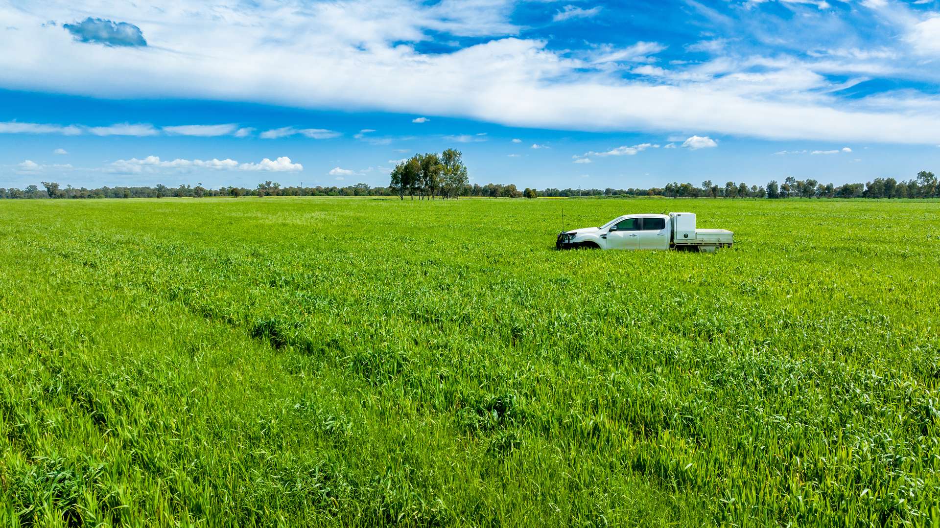 'Arden Vale' Walbundrie Road, Walla Walla For Sale by Farmbuy.com - image 2