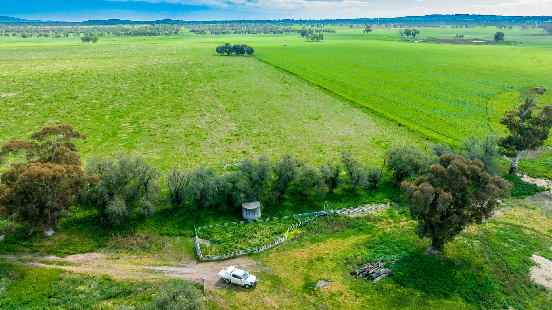 'Arden Vale' Walbundrie Road, Walla Walla For Sale by Farmbuy.com - image 4