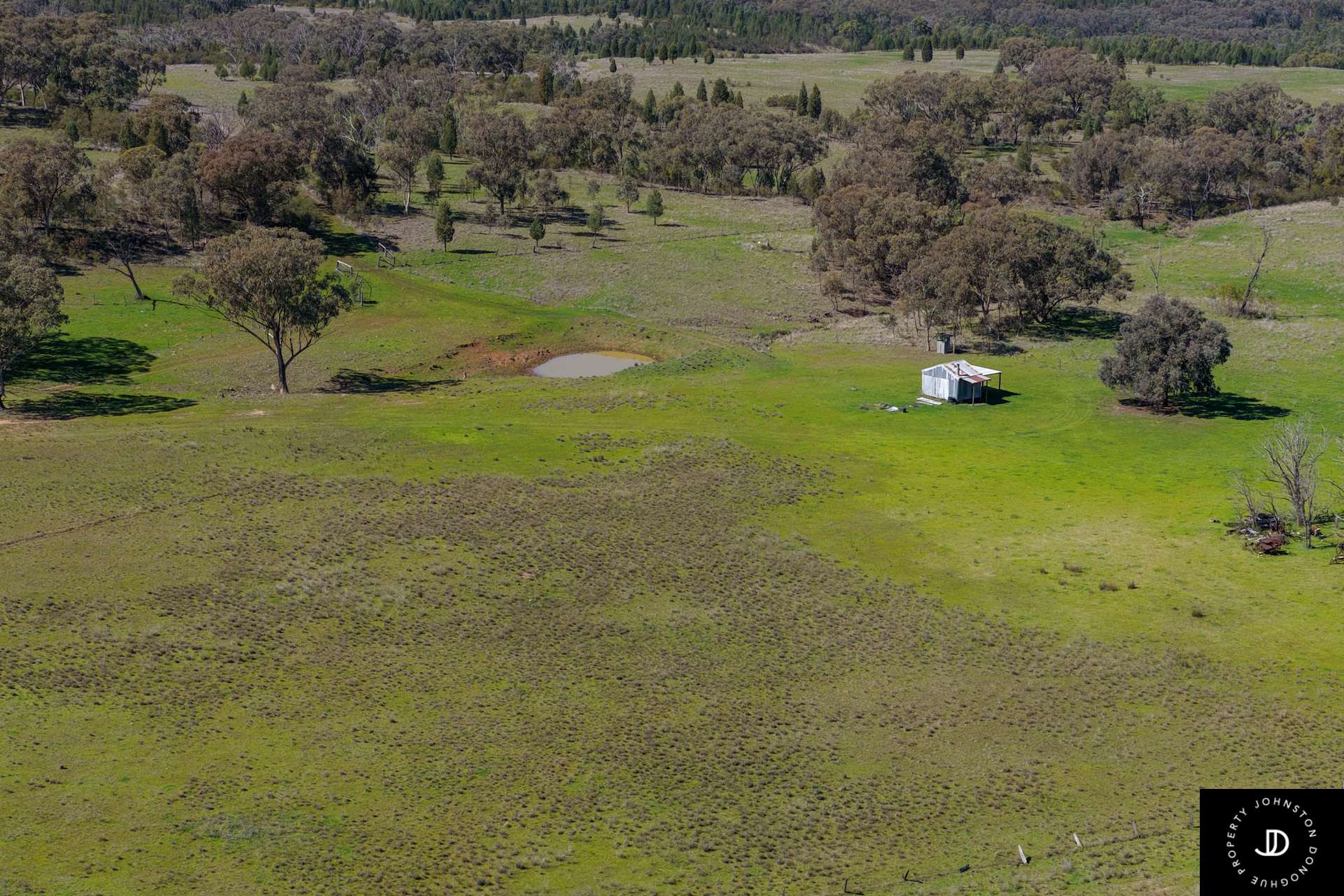 3449 Wyuna Road, Mullaley For Sale by Farmbuy.com - image 7