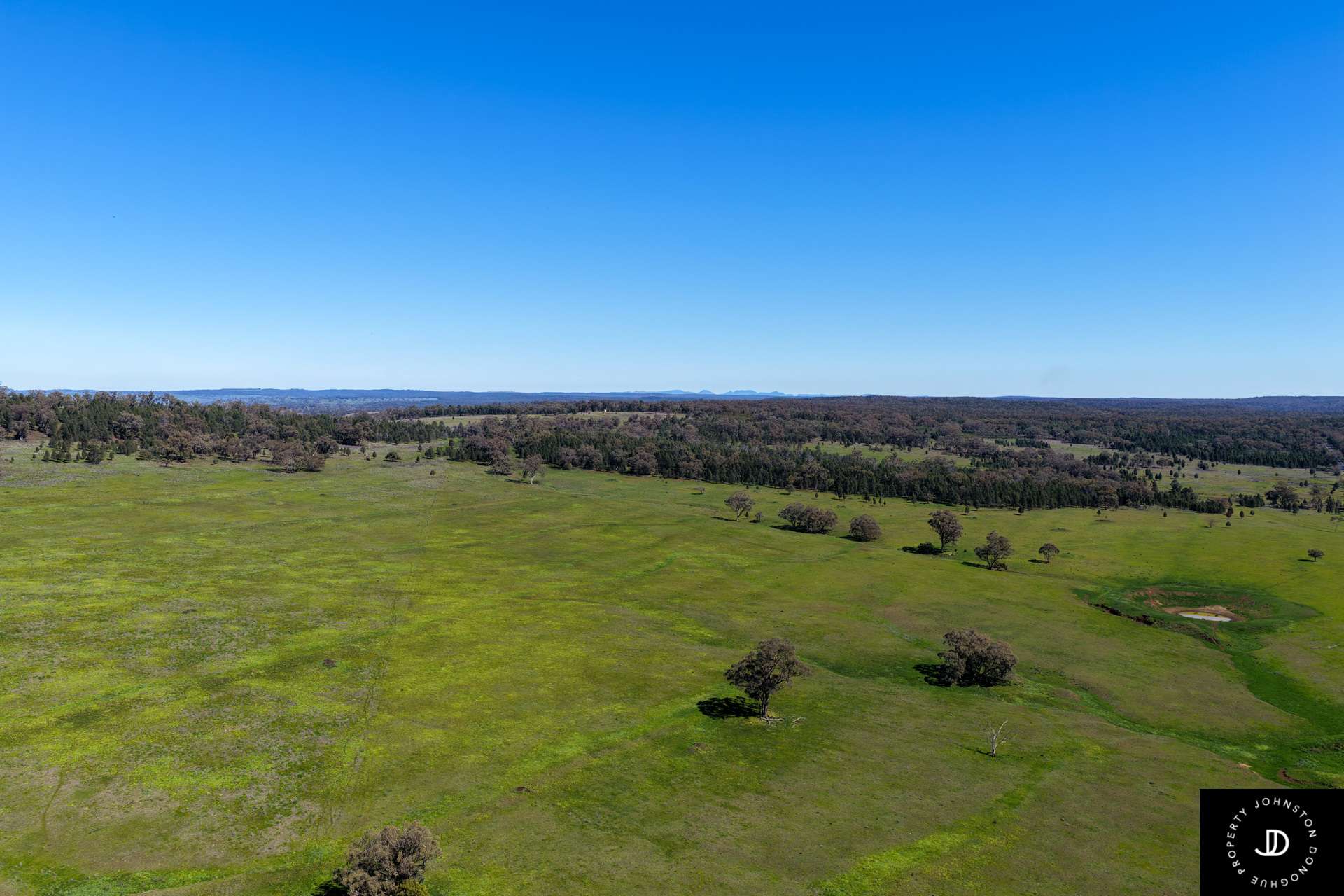 3449 Wyuna Road, Mullaley For Sale by Farmbuy.com - image 3