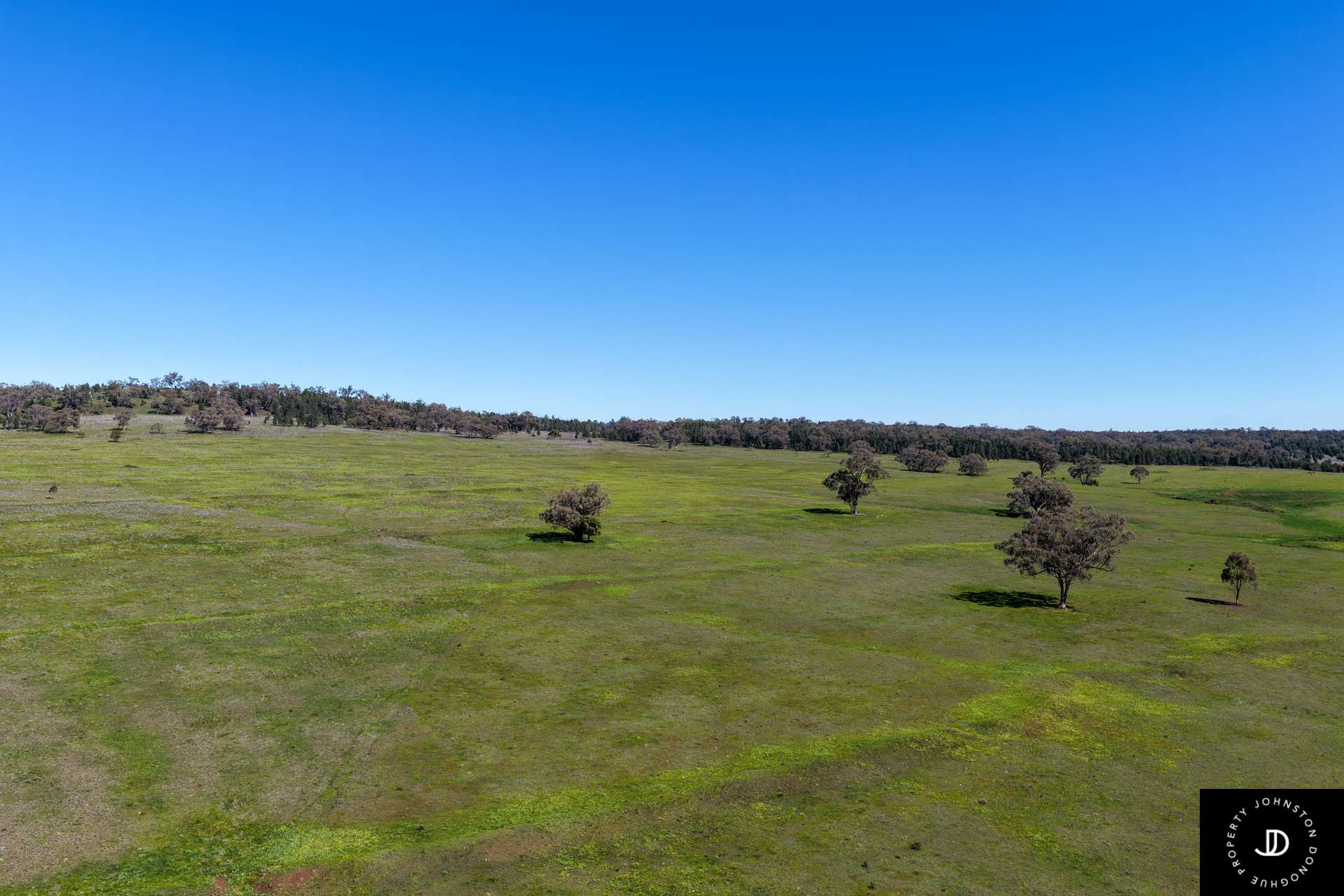 3449 Wyuna Road, Mullaley For Sale by Farmbuy.com - image 1