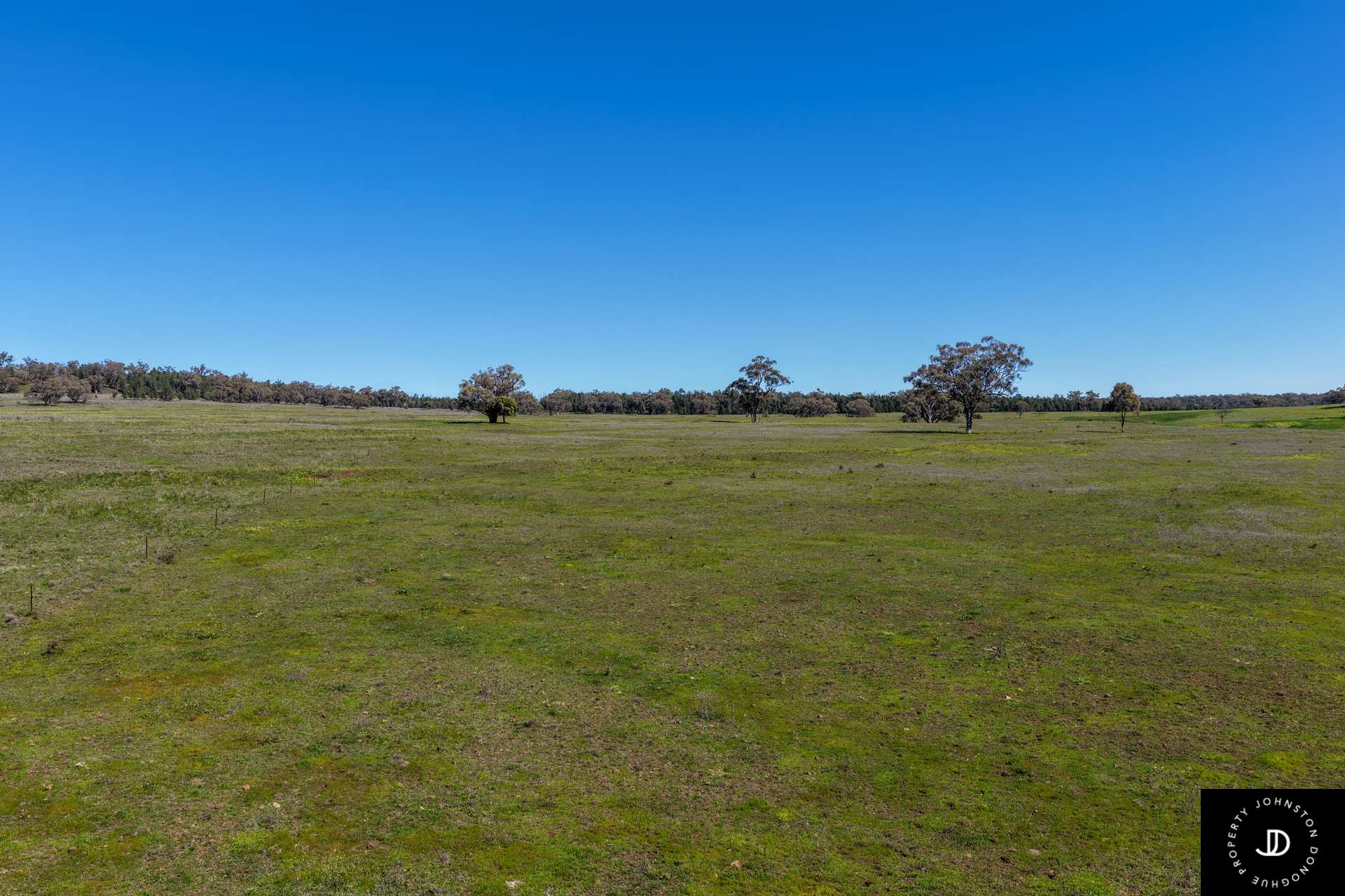 3449 Wyuna Road, Mullaley For Sale by Farmbuy.com - image 2