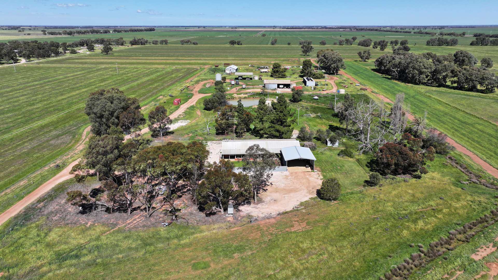 80 Calorafield Road, Murrami For Sale by Farmbuy.com - image 4