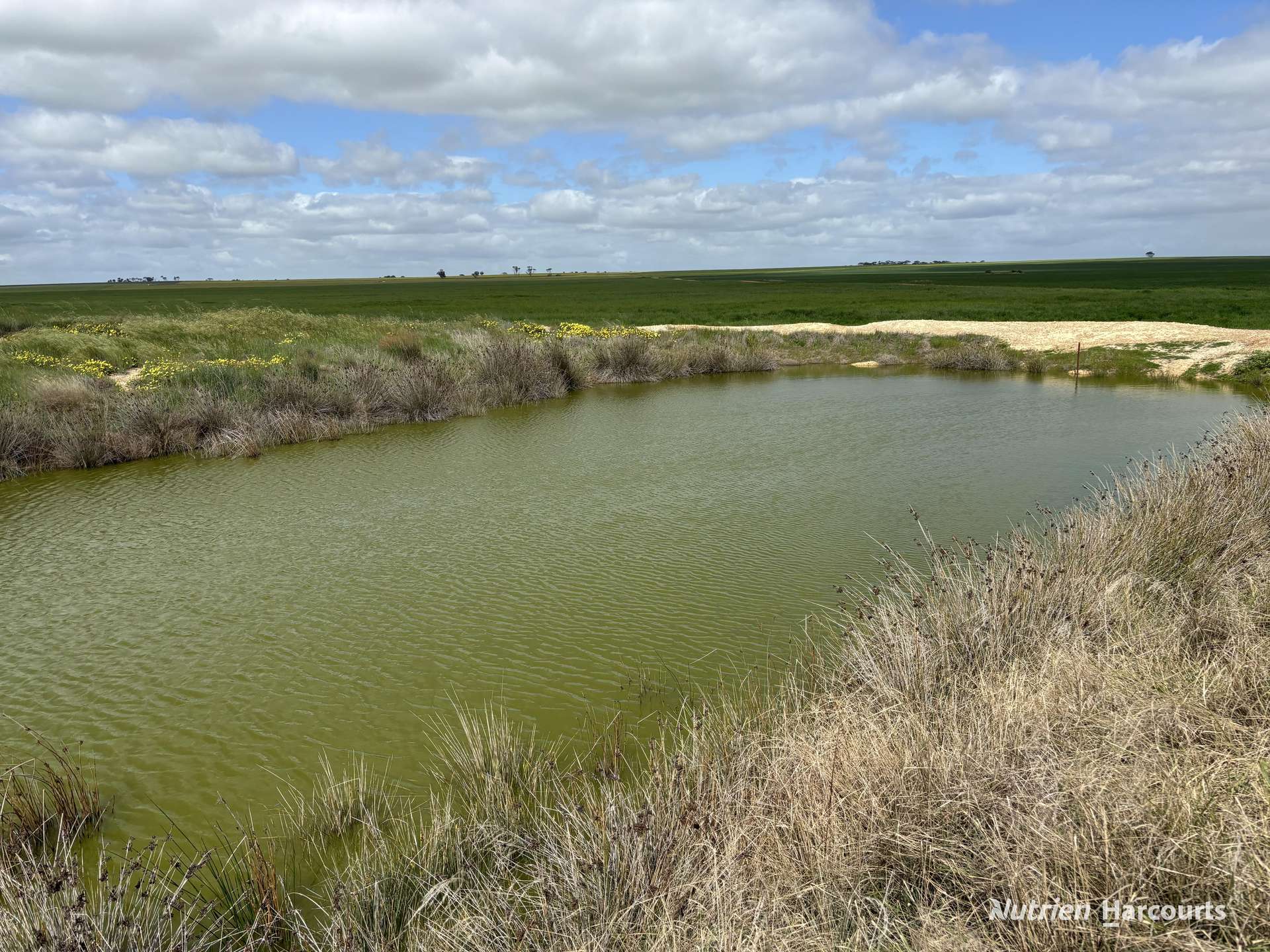 . 'Charm Hill', Dowerin For Sale by Farmbuy.com - image 26