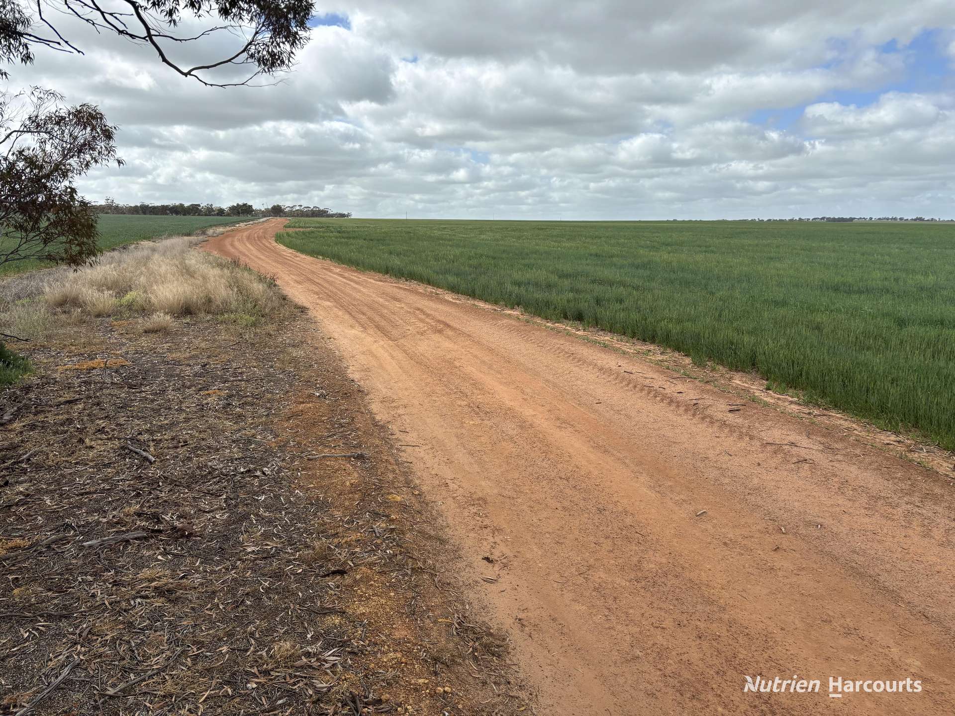 . 'Charm Hill', Dowerin For Sale by Farmbuy.com - image 25