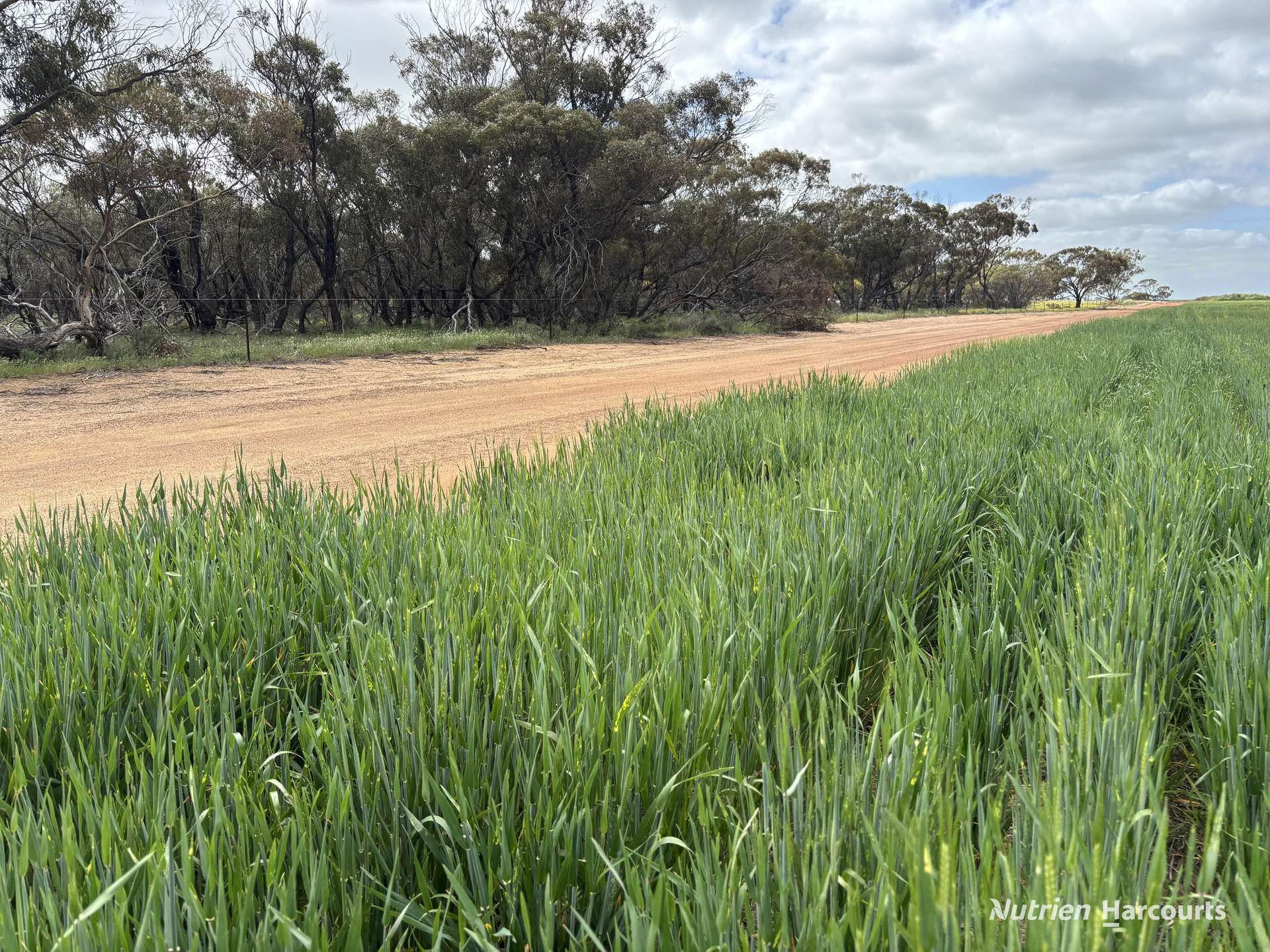 . 'Charm Hill', Dowerin For Sale by Farmbuy.com - image 35