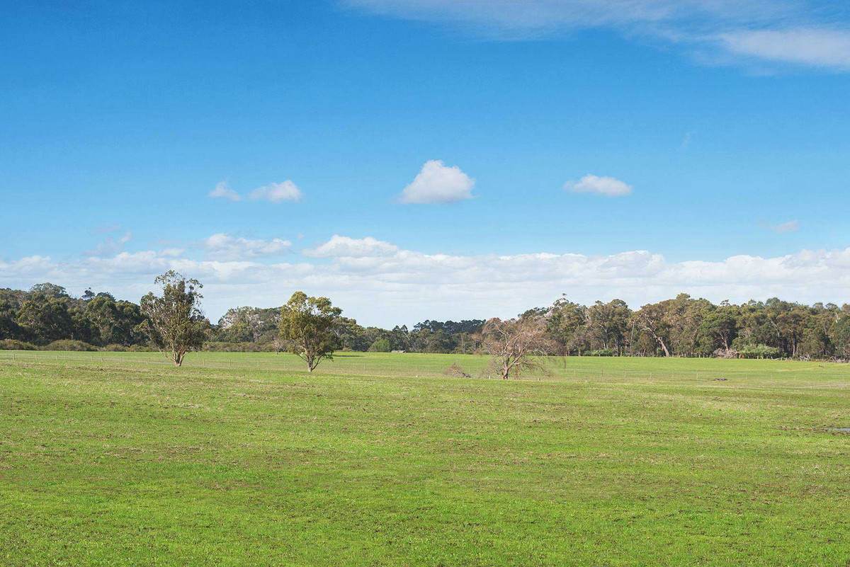 Lot 1001 Wickham Road, Witchcliffe For Sale by Farmbuy.com - image 3