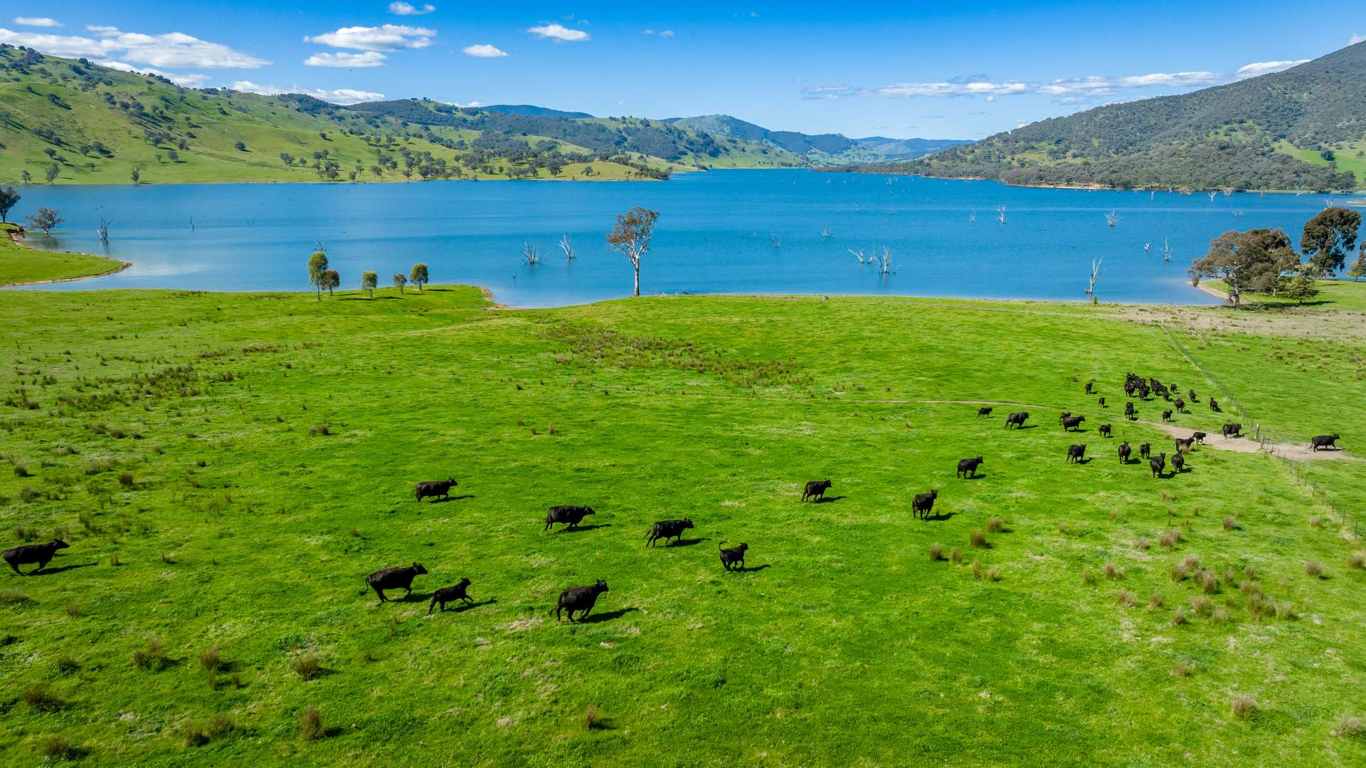1523 Murray River Road, Talgarno For Sale by Farmbuy.com - image 3